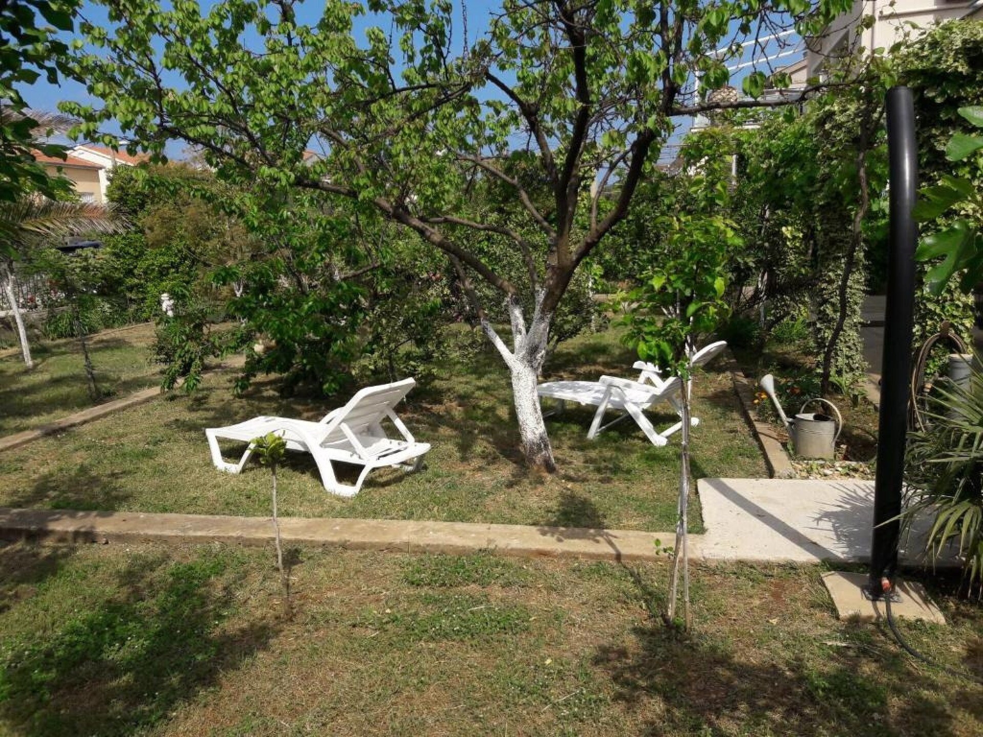 Fijn appartement voor 4 bij zee in Zadar, hond welkom - foto 19