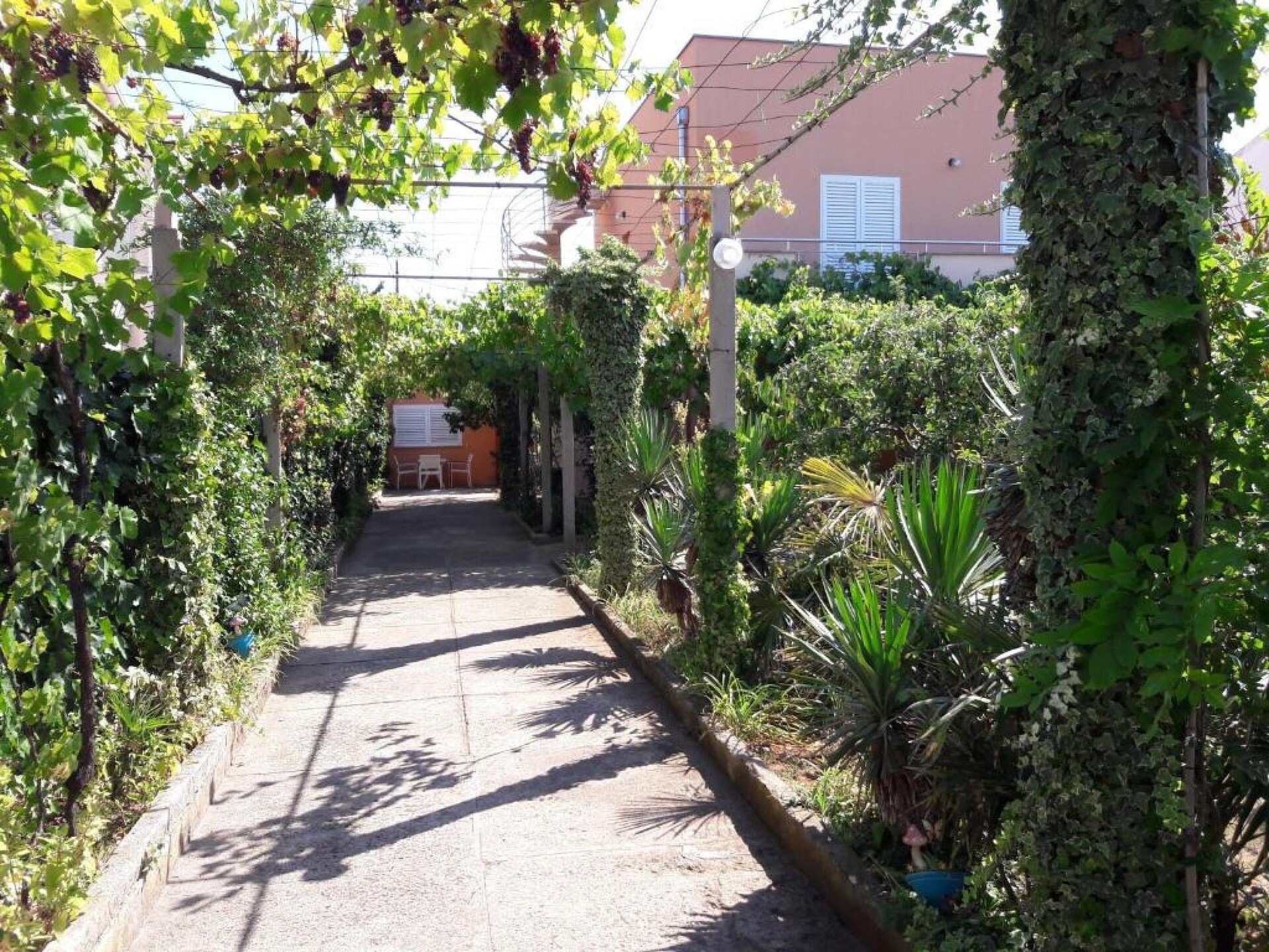 Fijn appartement voor 4 bij zee in Zadar, hond welkom - foto 41