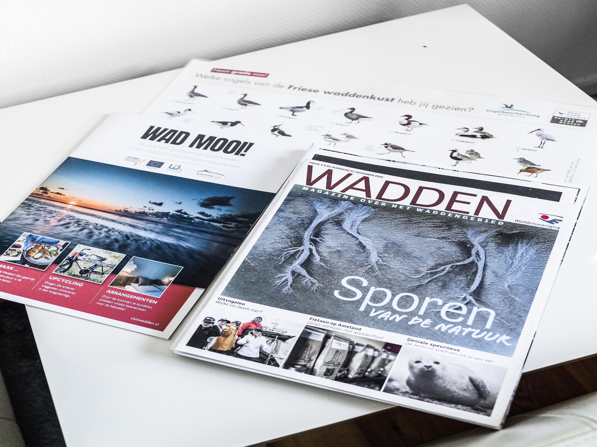 Wad'n Leven: authentiek vakantiehuis aan de Waddenzee in Paesens - foto 29