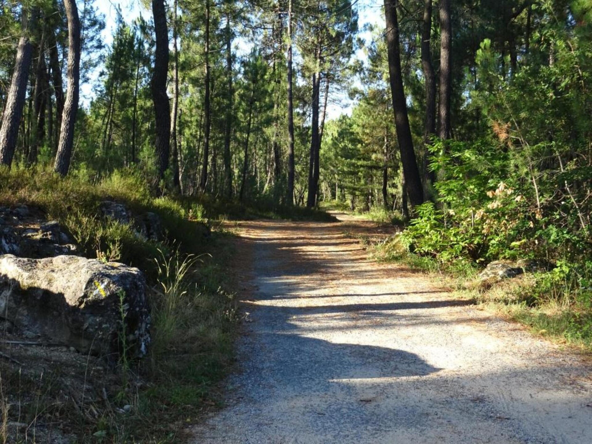 Authentieke Ardèche-boerderij met tuin, 25 km van Vallon Pont d'Arc - foto 35