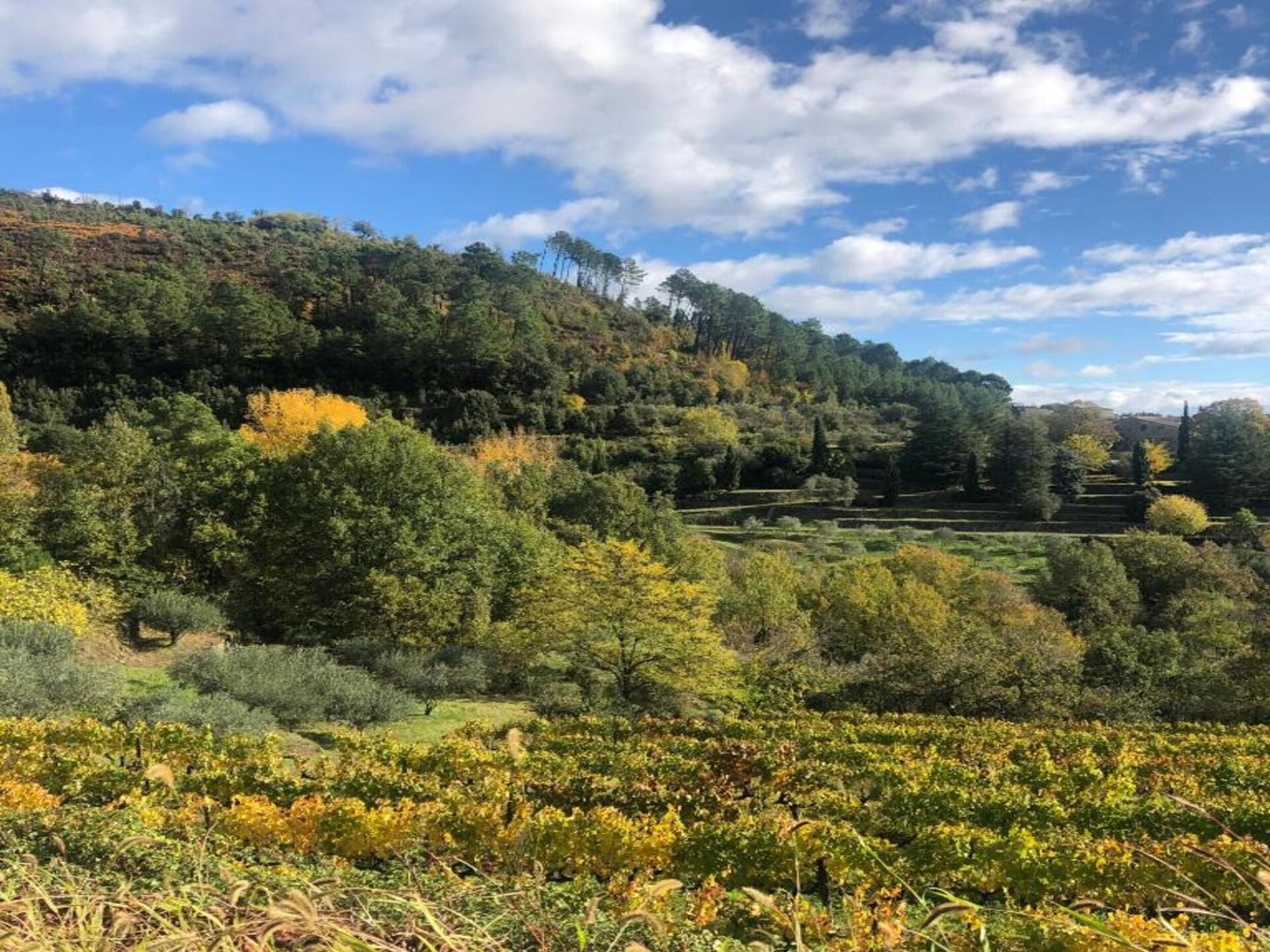 Authentieke Ardèche-boerderij met tuin, 25 km van Vallon Pont d'Arc - foto 40