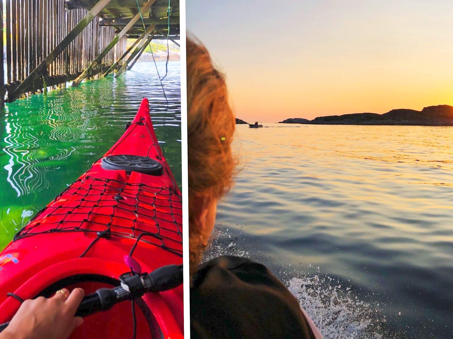 Op 500 m van de piste: sfeervol vakantiehuis in Averøy - foto 15