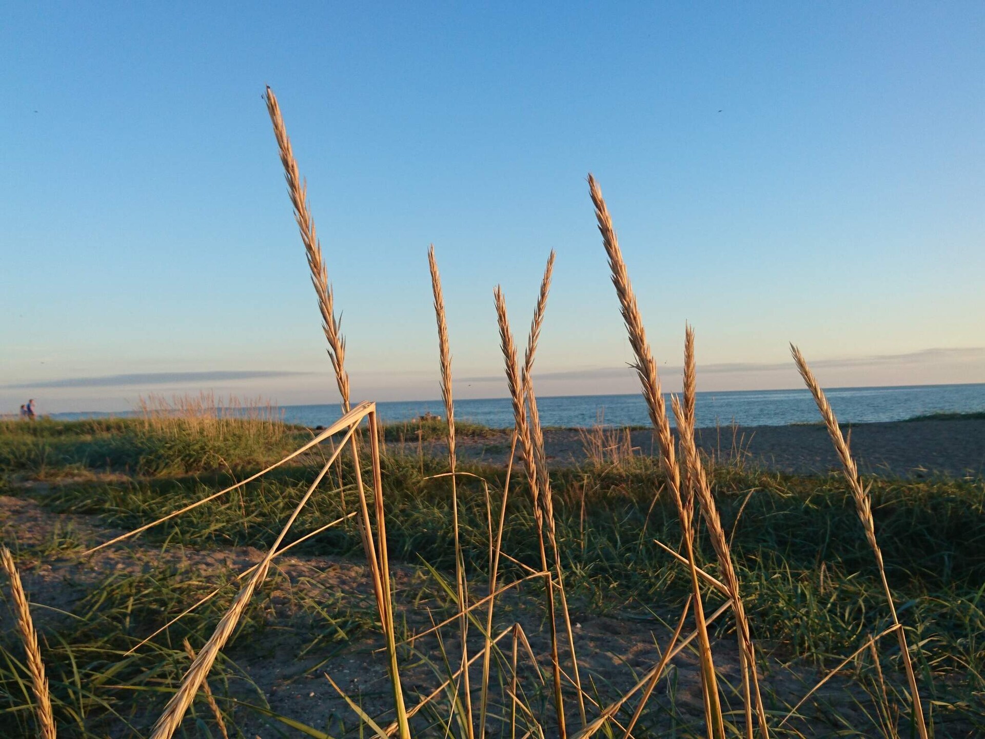 3-persoons vakantiehuis op 300 meter van zee in Karrebæksminde - foto 3