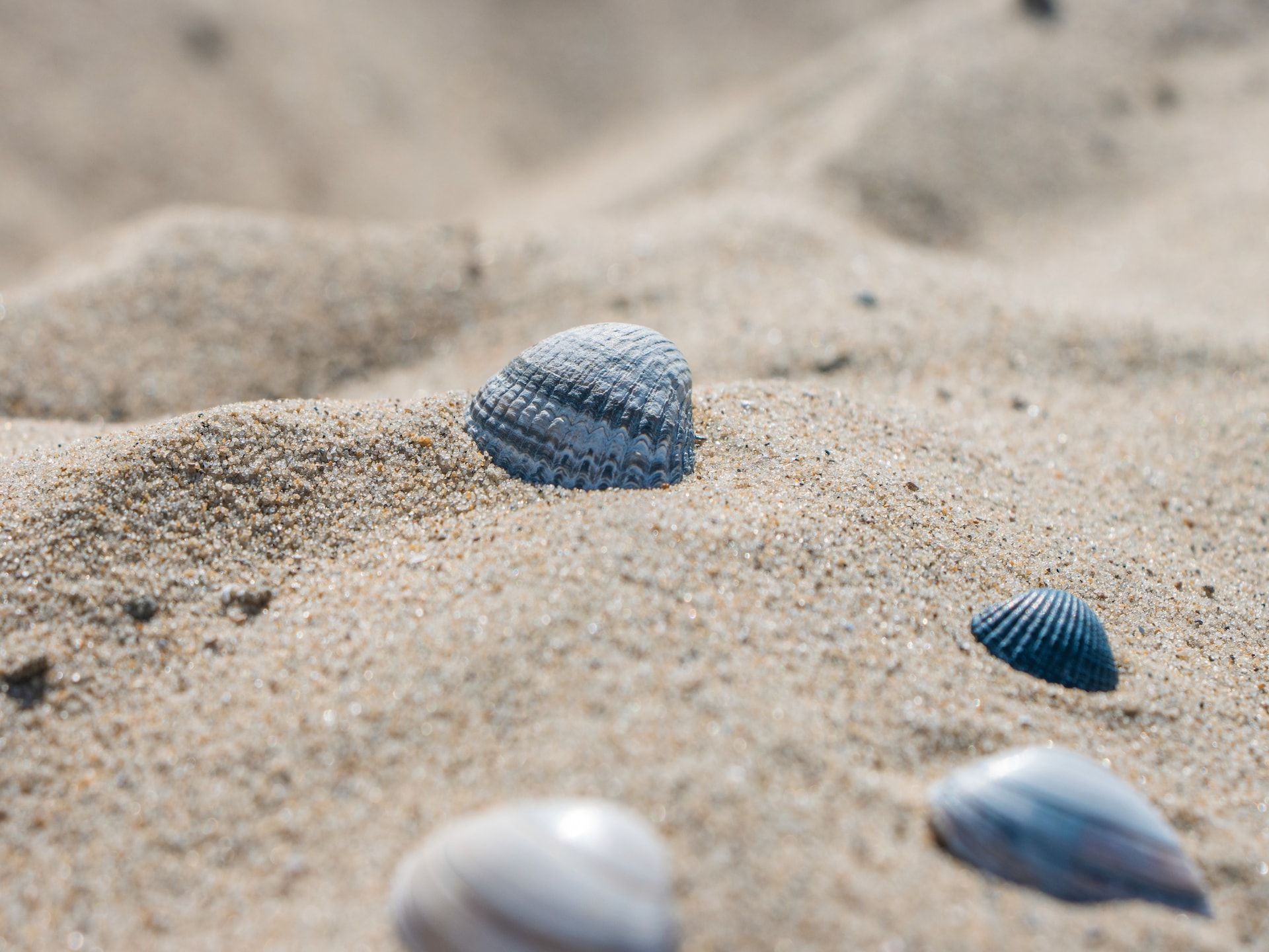 Luxe Duinvilla in Cadzand voor 10 personen - foto 35