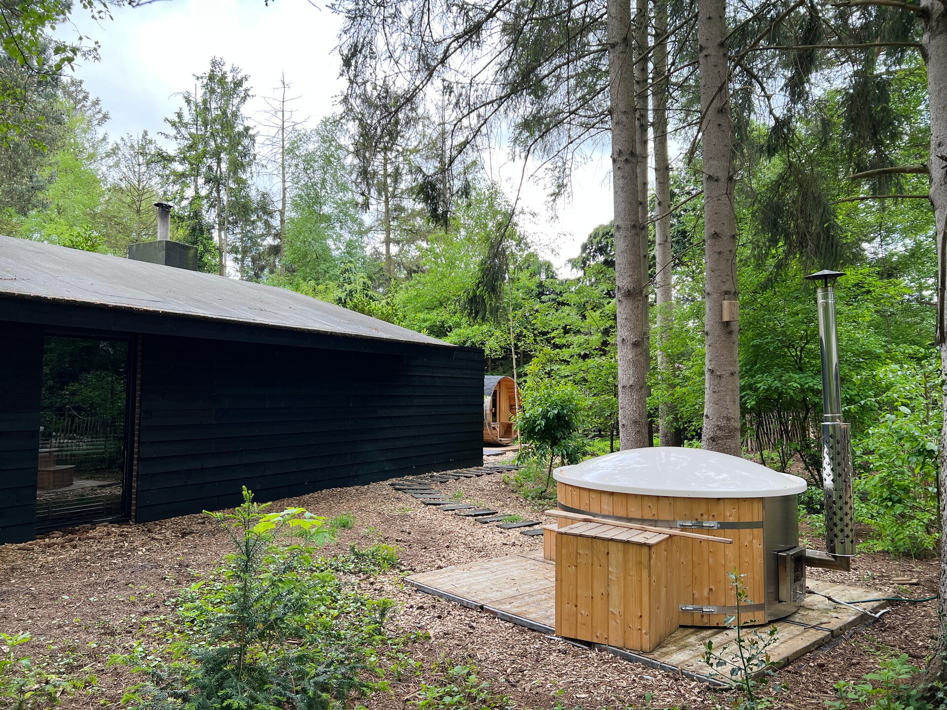 Dutch Cabin Houses C65: Luxe wellness vakantiehuis in Rheezerveen - foto 5
