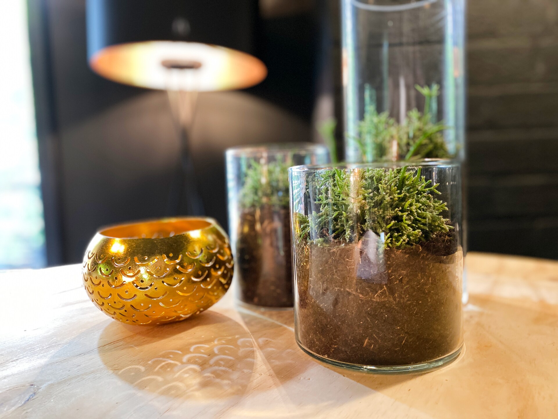 Dutch Cabin Houses C65: Luxe wellness vakantiehuis in Rheezerveen - foto 18