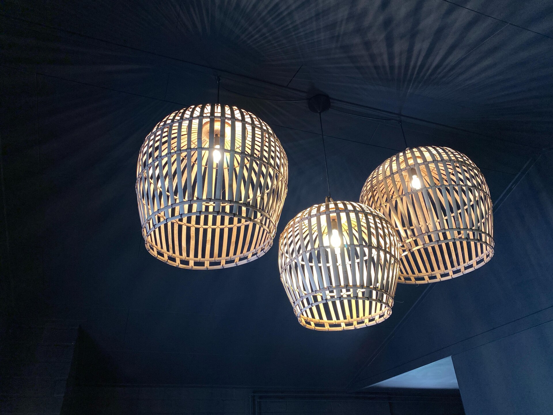 Dutch Cabin Houses C65: Luxe wellness vakantiehuis in Rheezerveen - foto 19