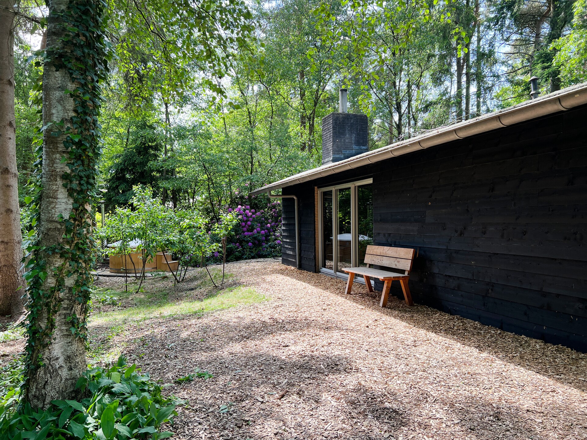 Luxe wellness vakantiehuis met sauna en hottub in Rheezerveen - foto 4