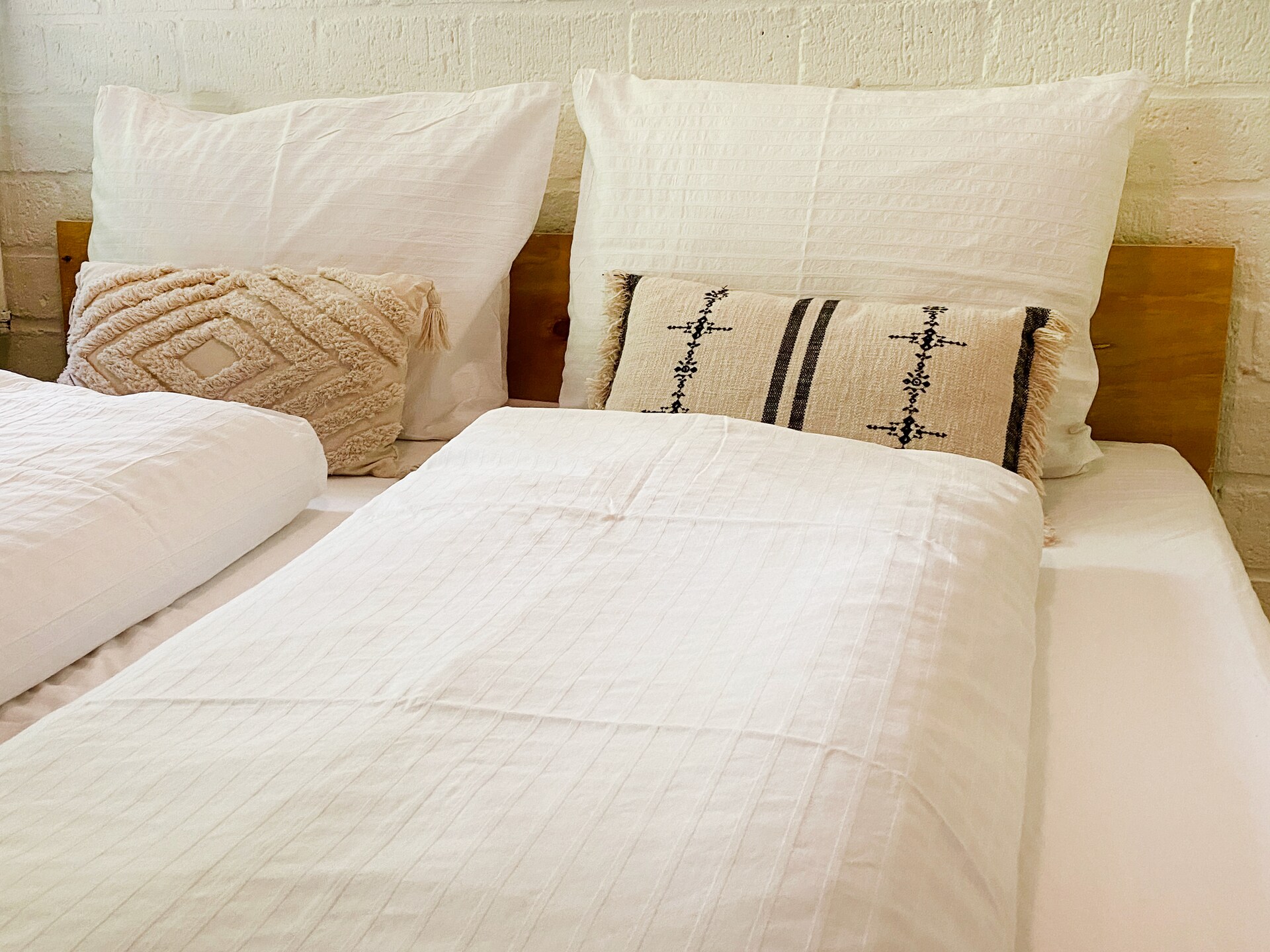 Dutch Cabin Houses C67: Luxe wellness vakantiehuis in Rheezerveen - foto 3