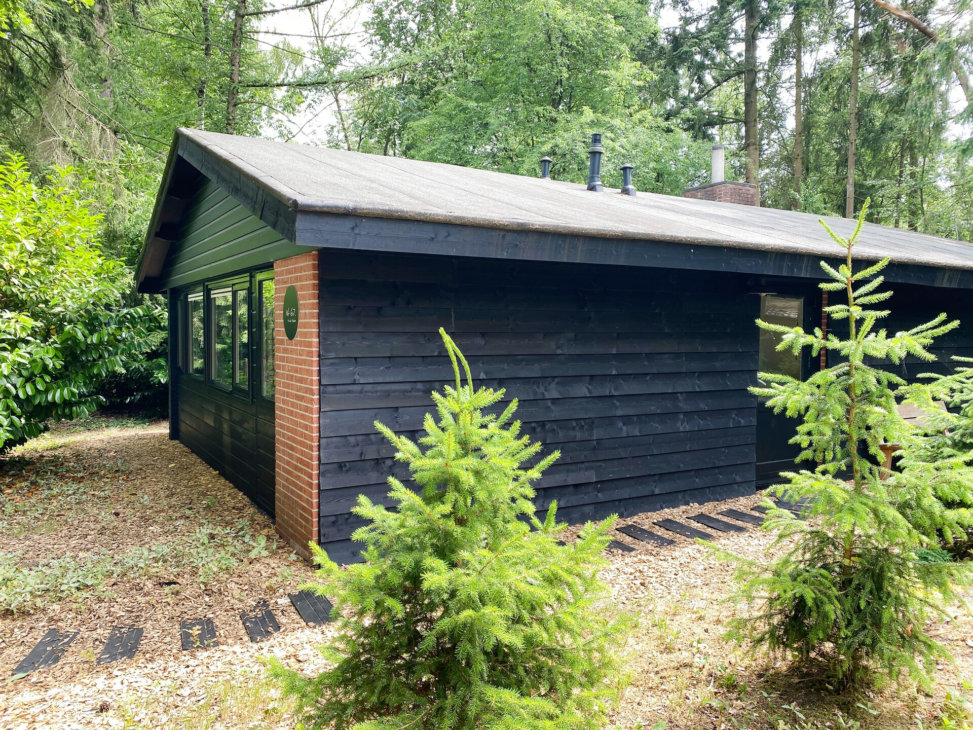 Dutch Cabin Houses C67: Luxe wellness vakantiehuis in Rheezerveen - foto 9