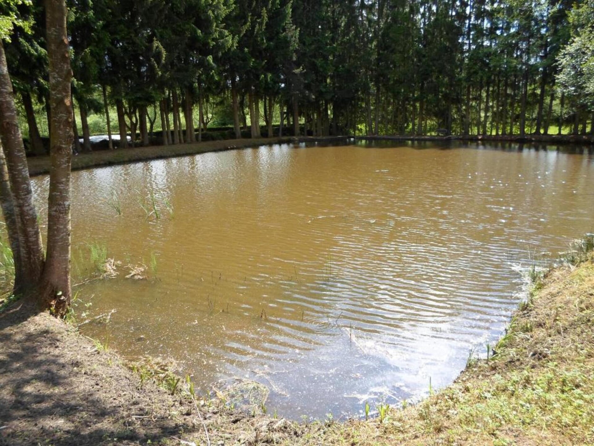 Knusse tentlodge aan een meer in de Vogezen voor 5 personen - foto 11