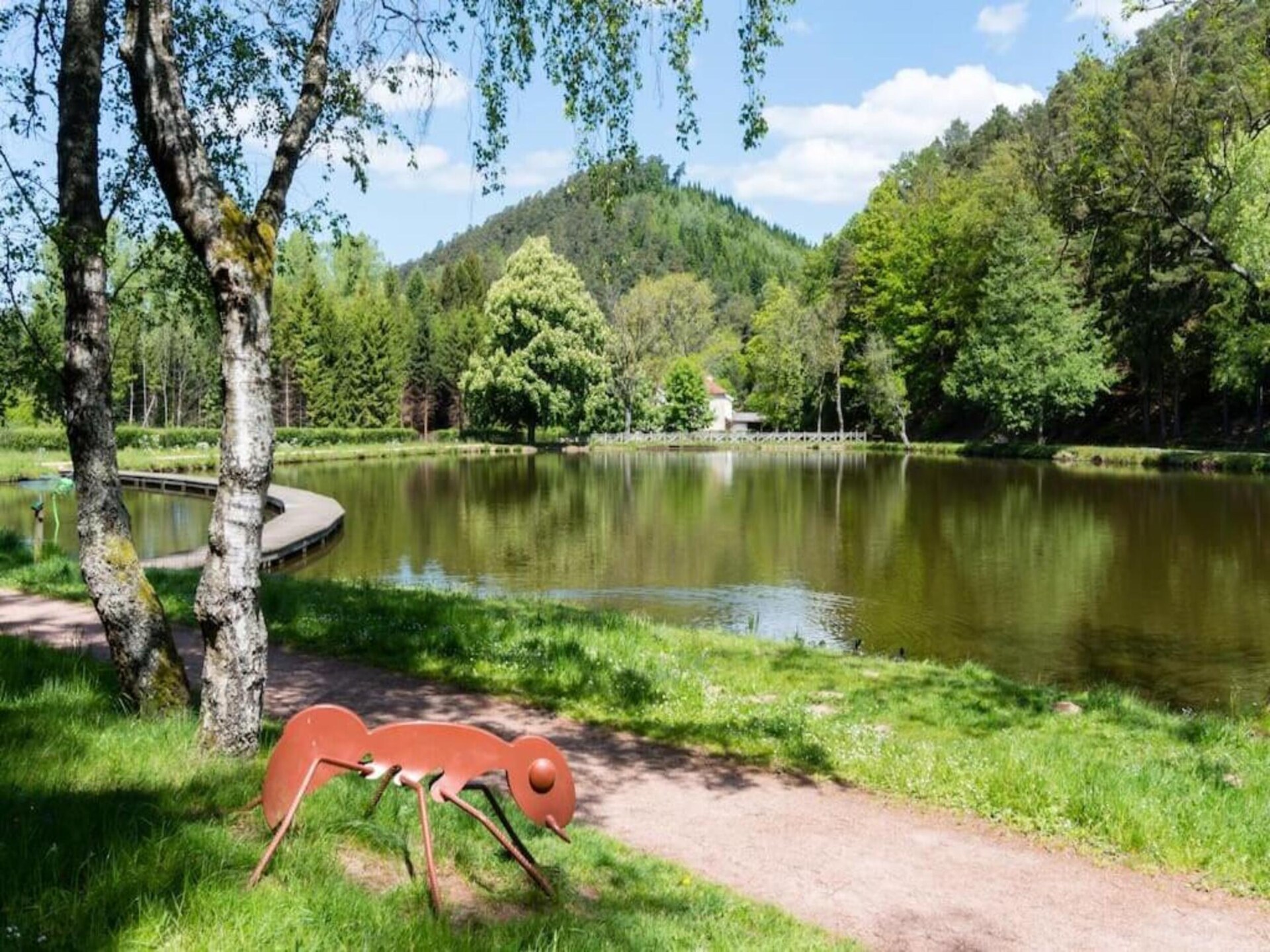 Knusse tentlodge aan een meer in de Vogezen voor 5 personen - foto 20