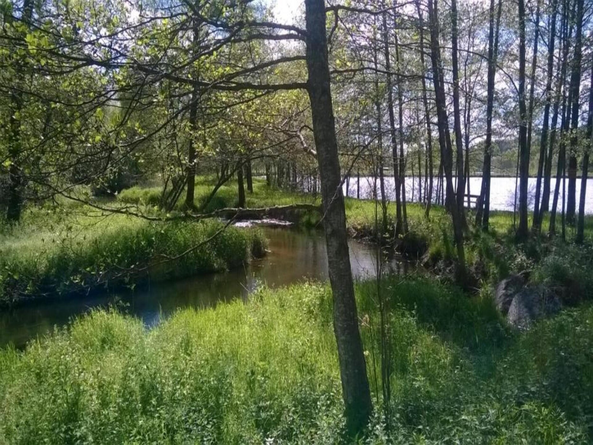 Knusse tentlodge aan een meer in de Vogezen voor 5 personen - foto 26