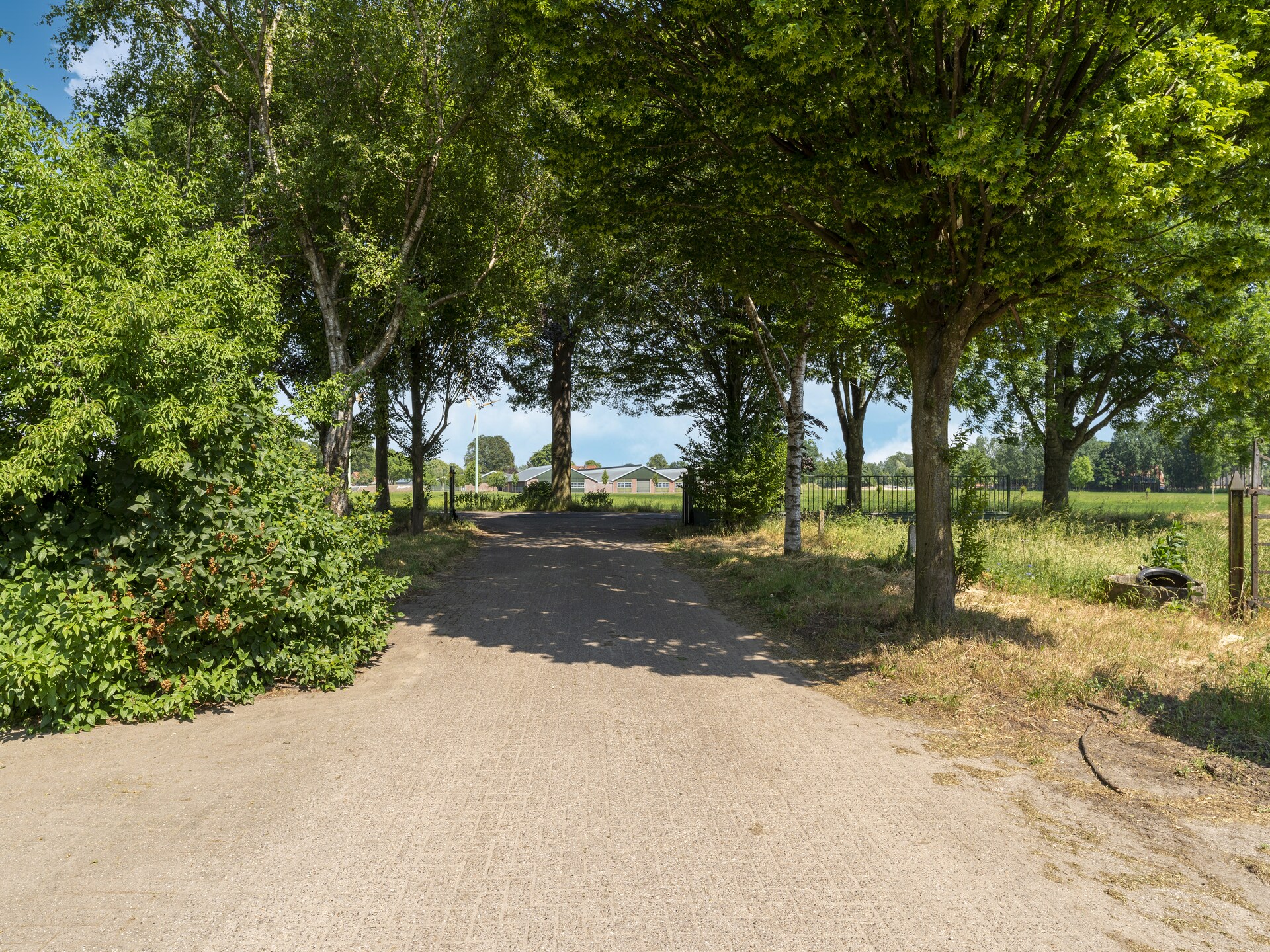 Vakantiewoning de Zwaluw: modern genieten in het Achterhoekse landschap - foto 29