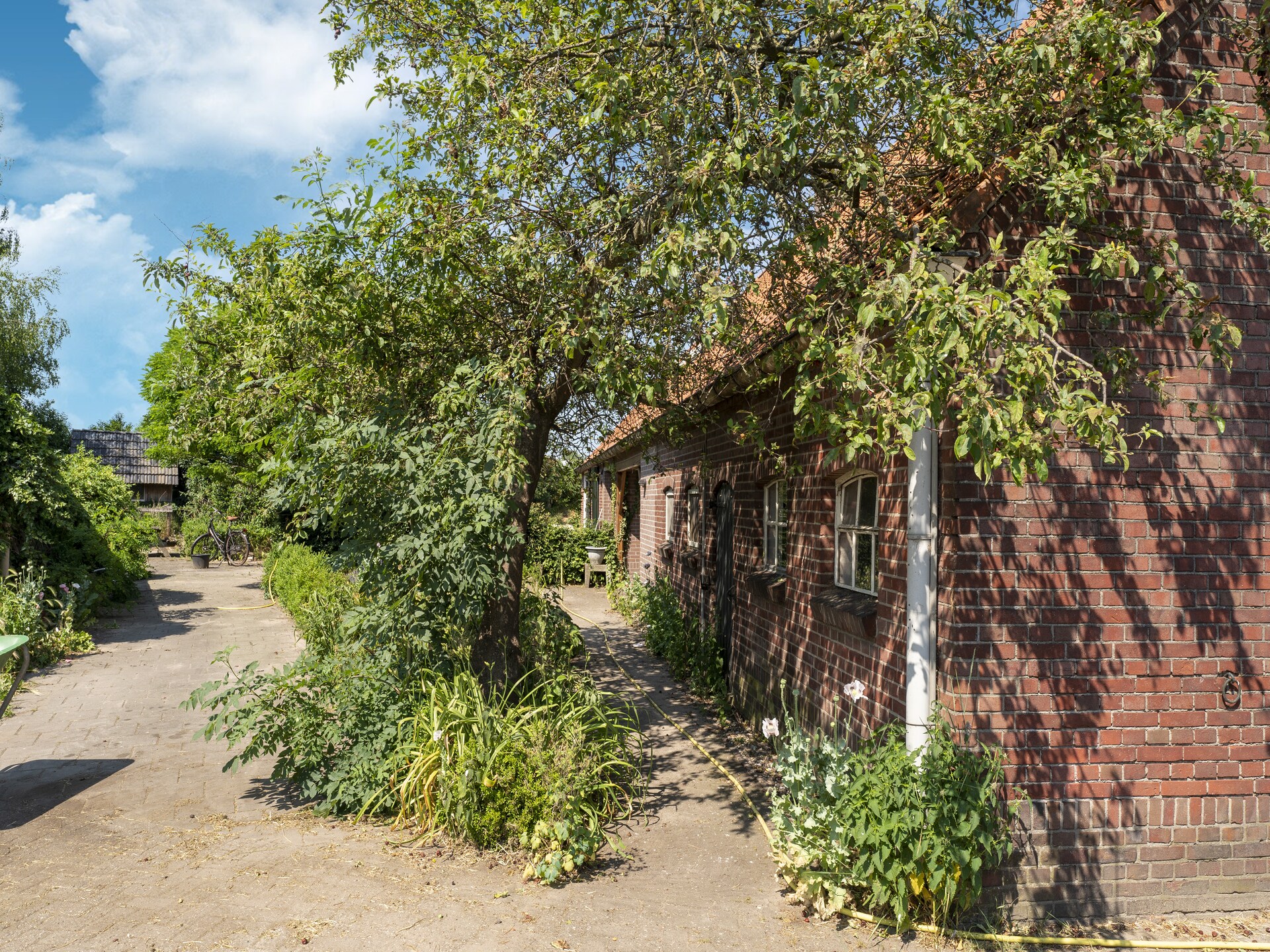 Vakantiewoning de Zwaluw: modern genieten in het Achterhoekse landschap - foto 22