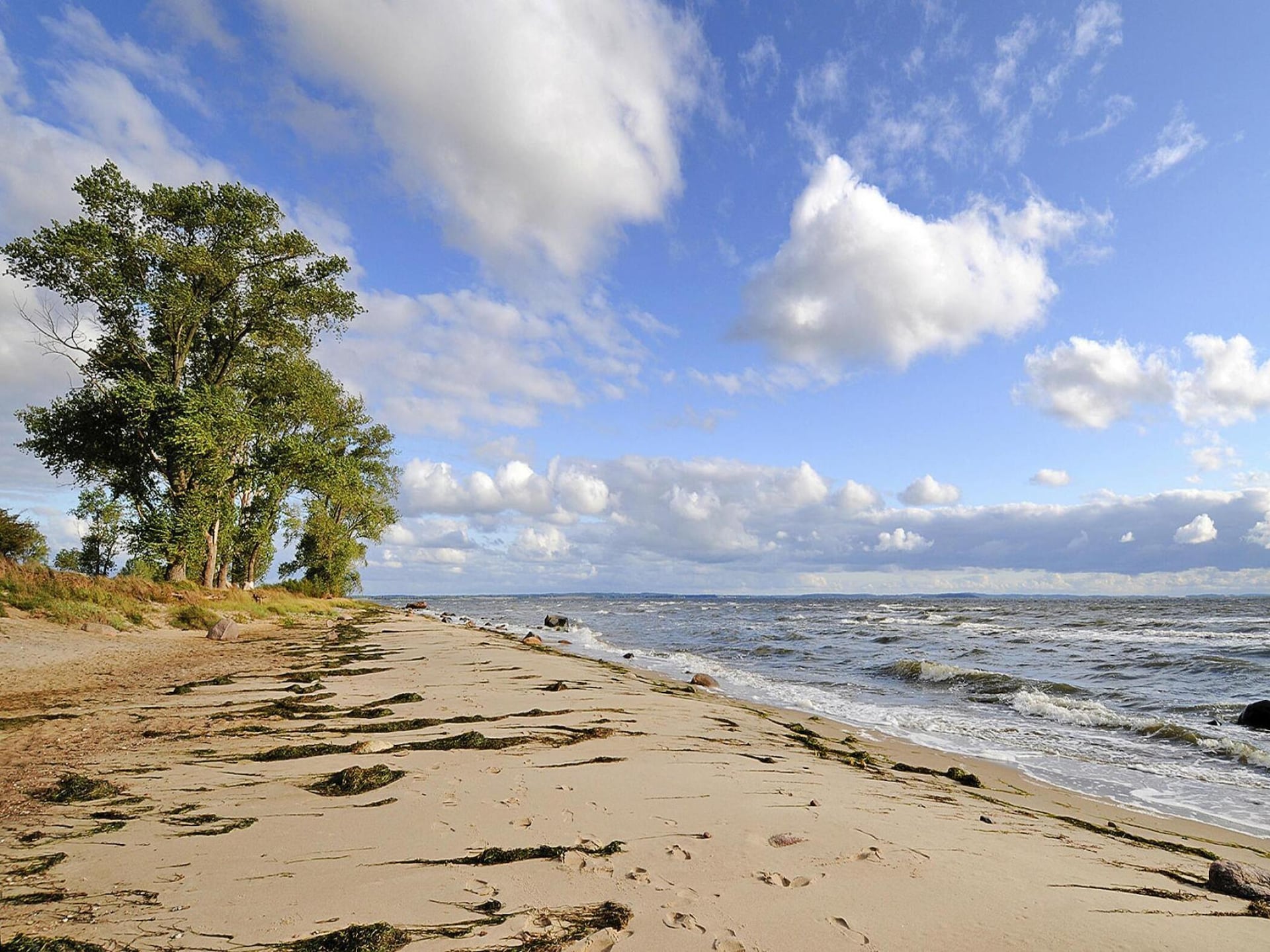 Op 600 m van het meer: Luxe landhuis in Garz op schiereiland Zudar - foto 16