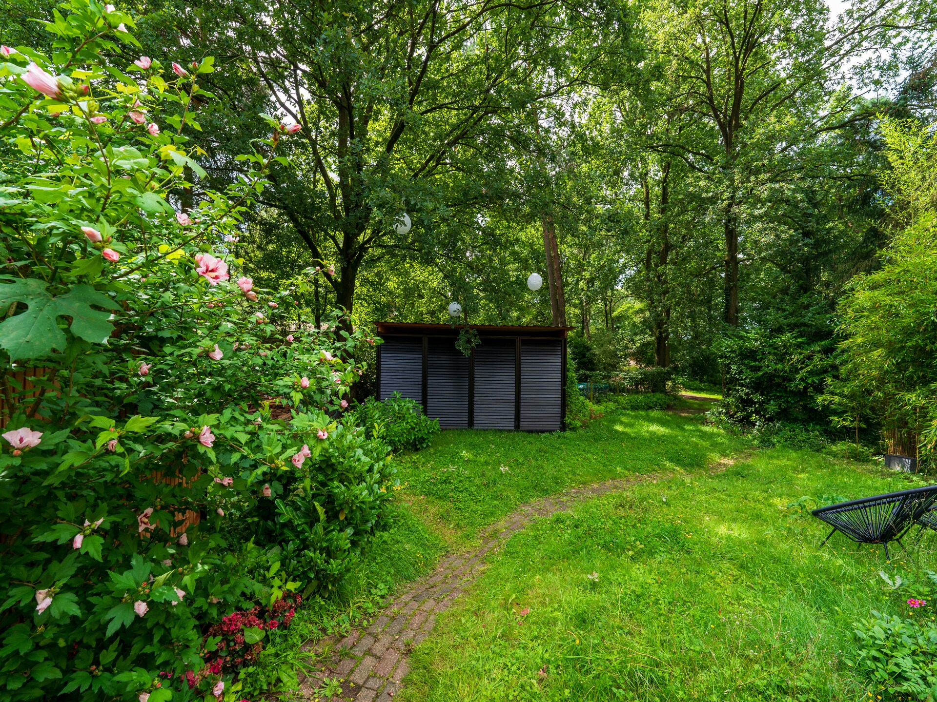 Wellness suite in Zelhem: ontspanning in de Achterhoekse natuur - foto 21