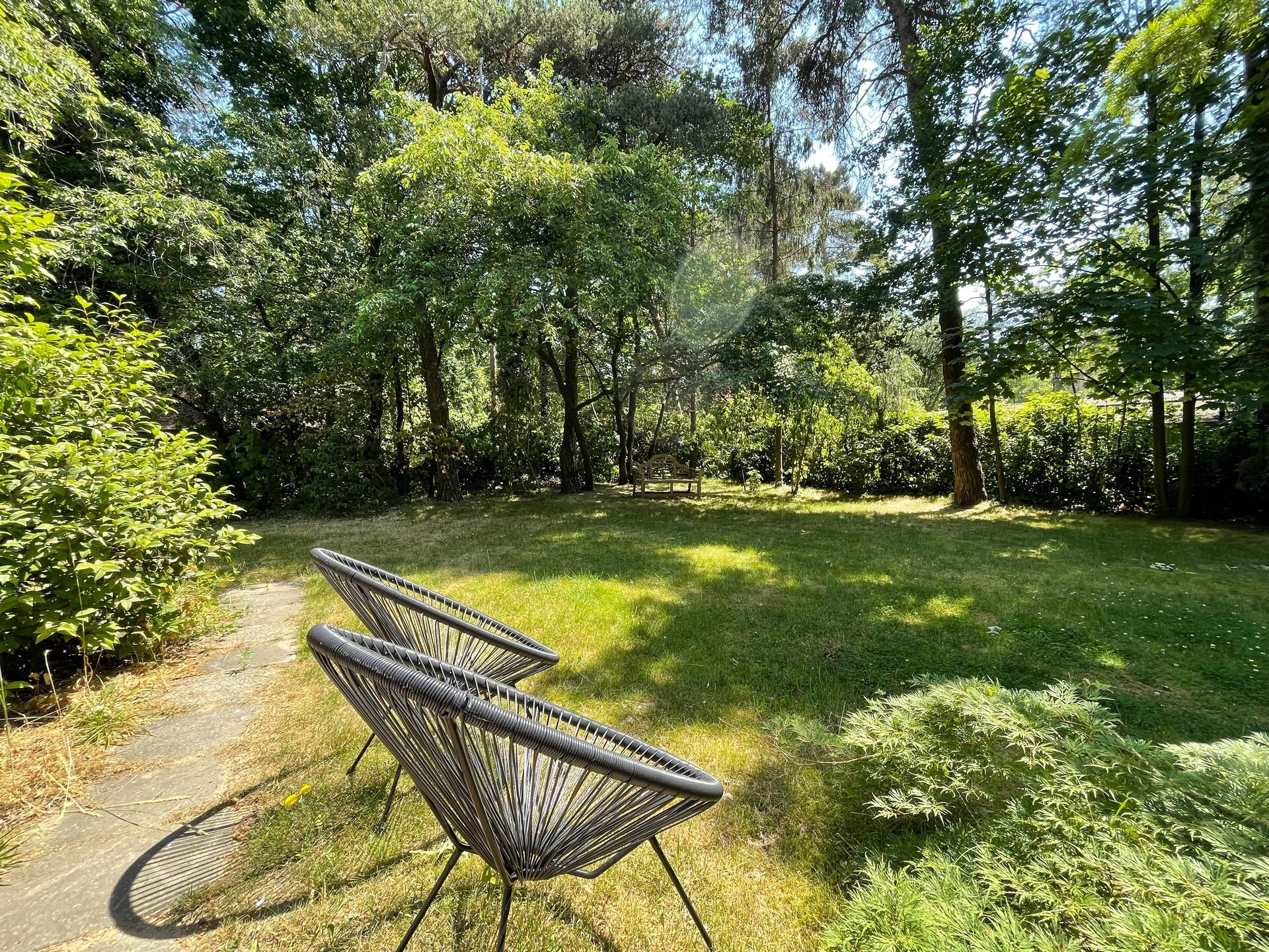Bos suite: Heerlijk vakantiehuis in het groen van Zelhem - foto 19