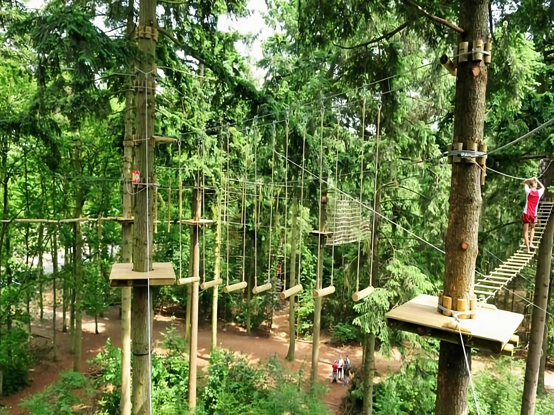 Bos suite: Heerlijk vakantiehuis in het groen van Zelhem - foto 37