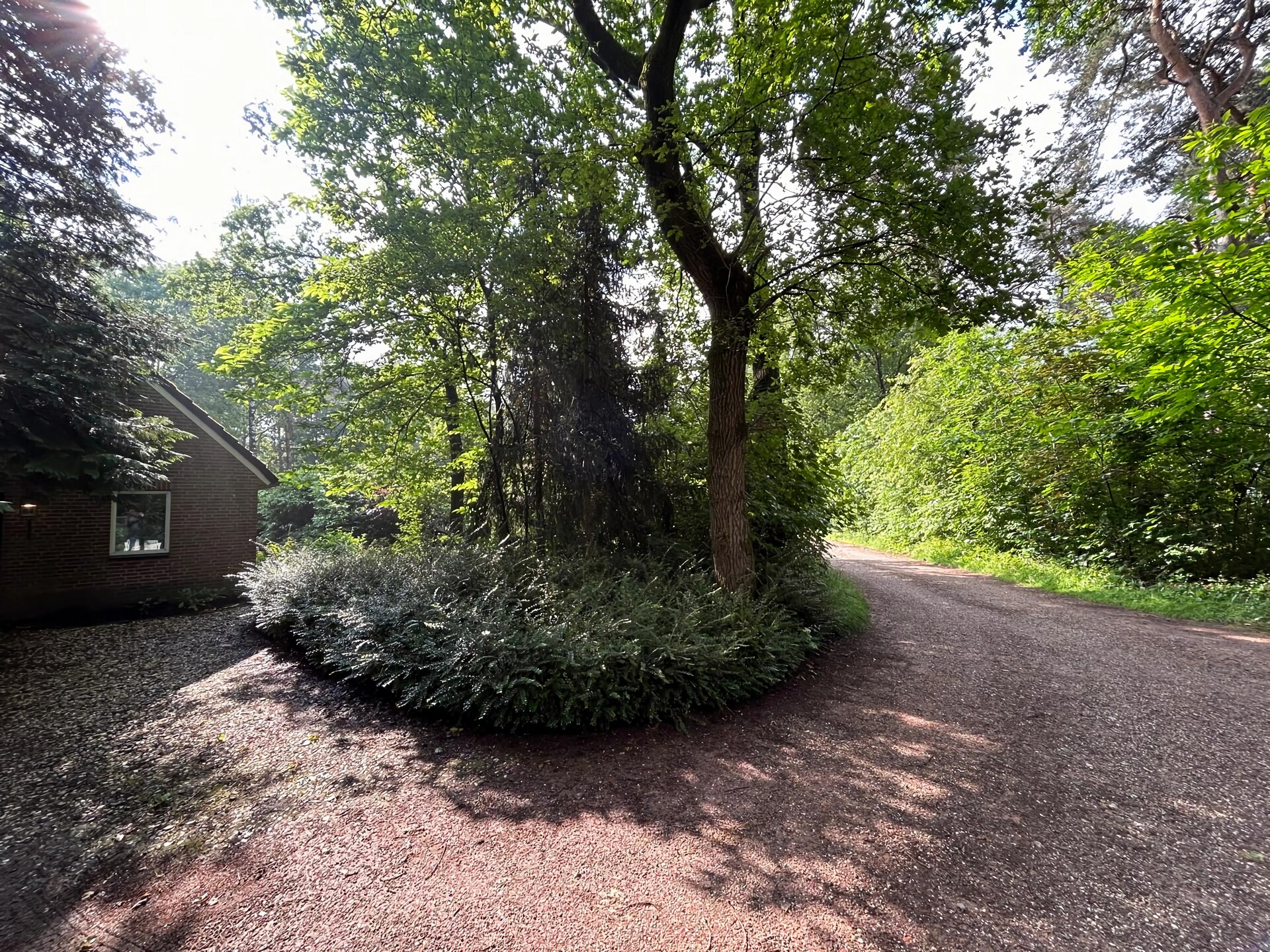 Bos suite: Heerlijk vakantiehuis in het groen van Zelhem - foto 33
