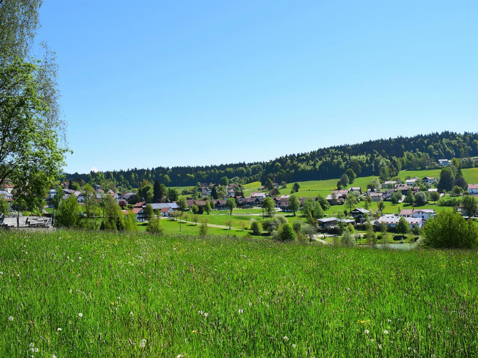 Op 300 m van het meer: sfeervol appartement in Neuschönau - foto 17