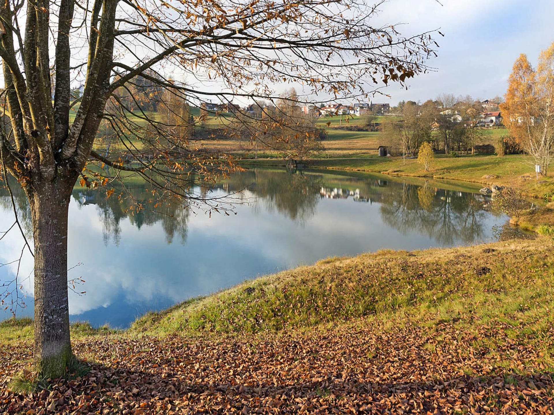 Op 300 m van het meer: sfeervol appartement in Neuschönau - foto 25