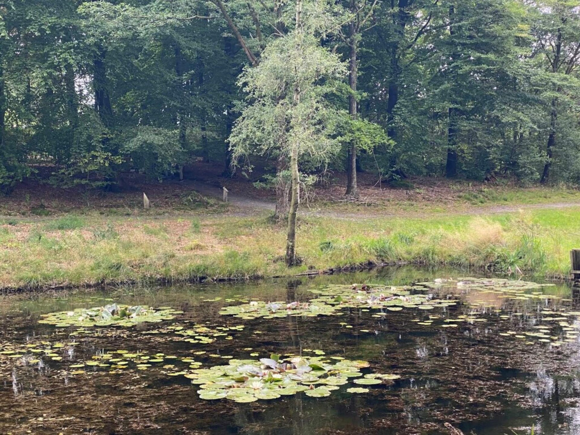 Charmant blokhuis voor 4 personen in rustig Hovborg - foto 17