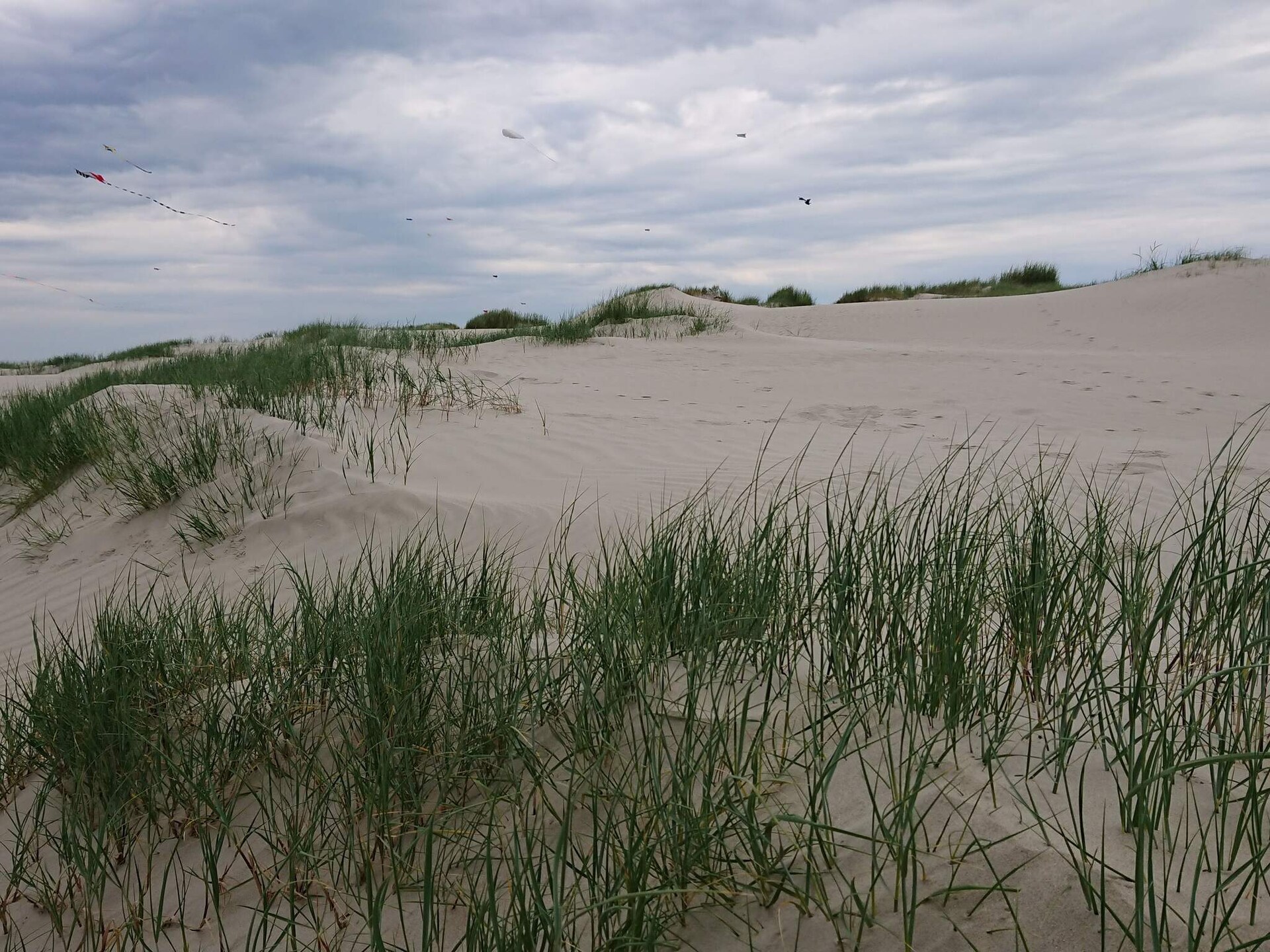 Zonnig vrijstaand vakantiehuis op 250m van het strand van Fanø - foto 11