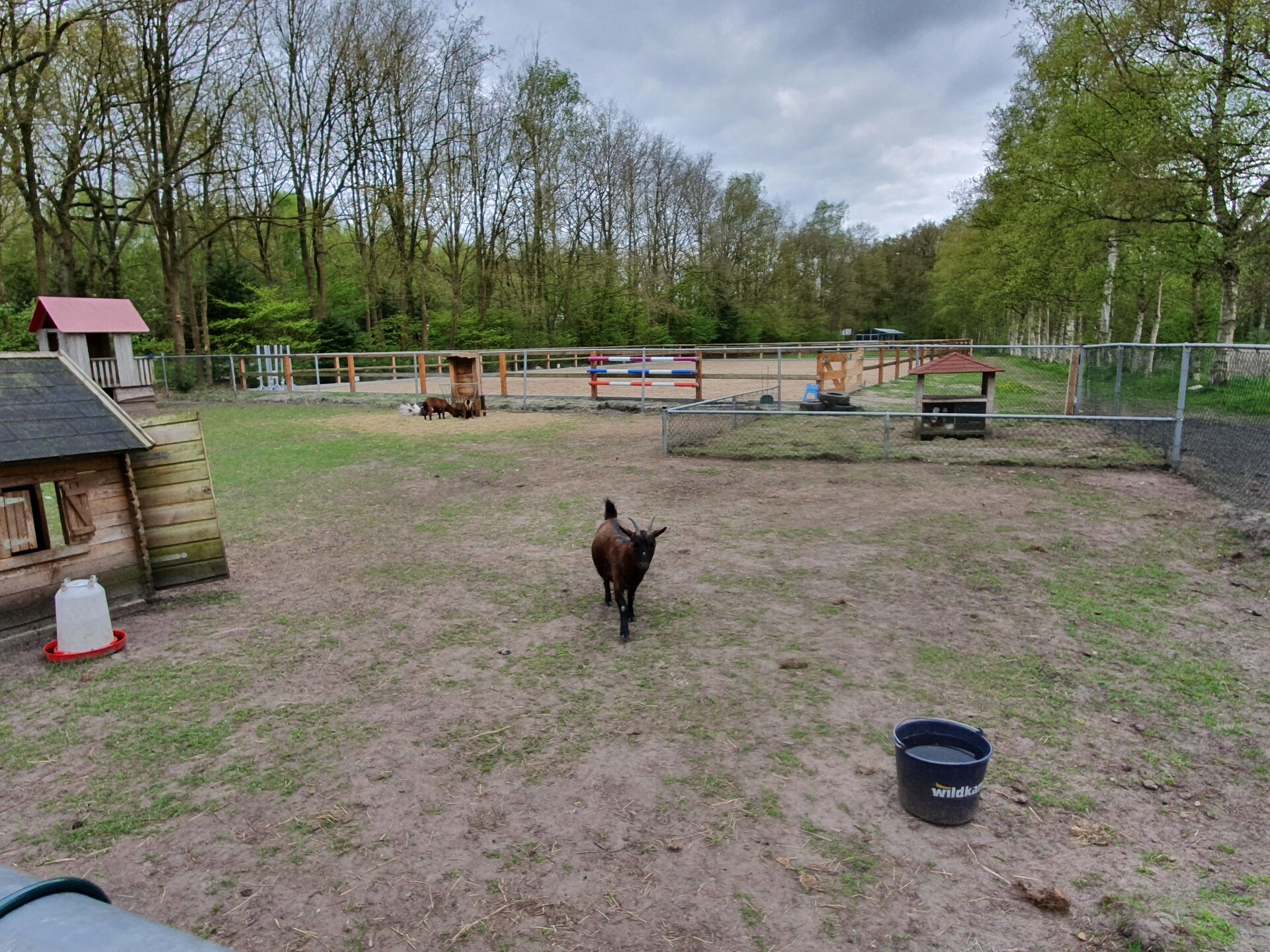 Rustig vakantiehuis in Schoonloo: Elperhof Leberenlodge voor 4 personen - foto 22