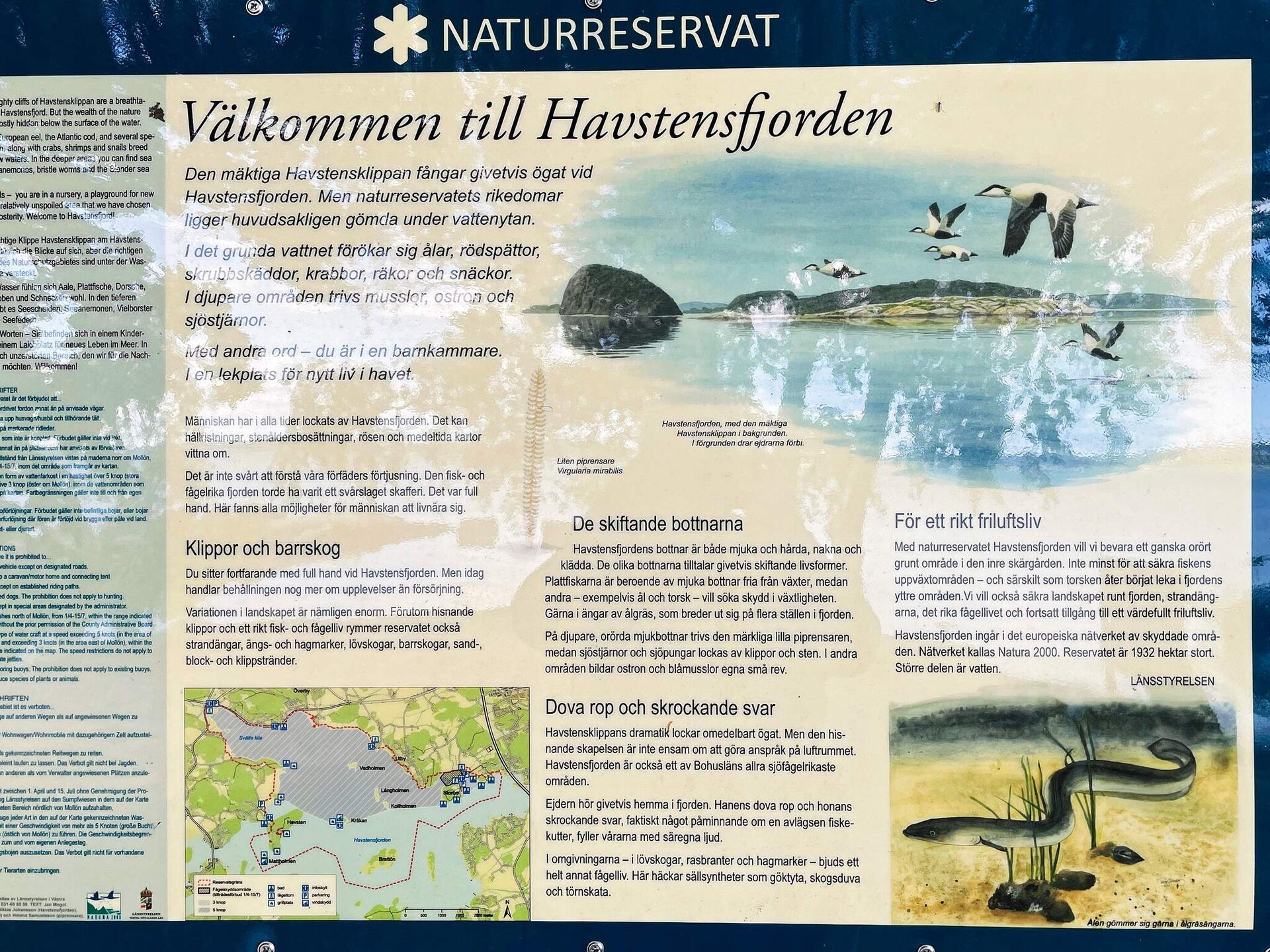 4-persoons vakantiehuis aan zee in Uddevalla met fjordzicht - foto 37