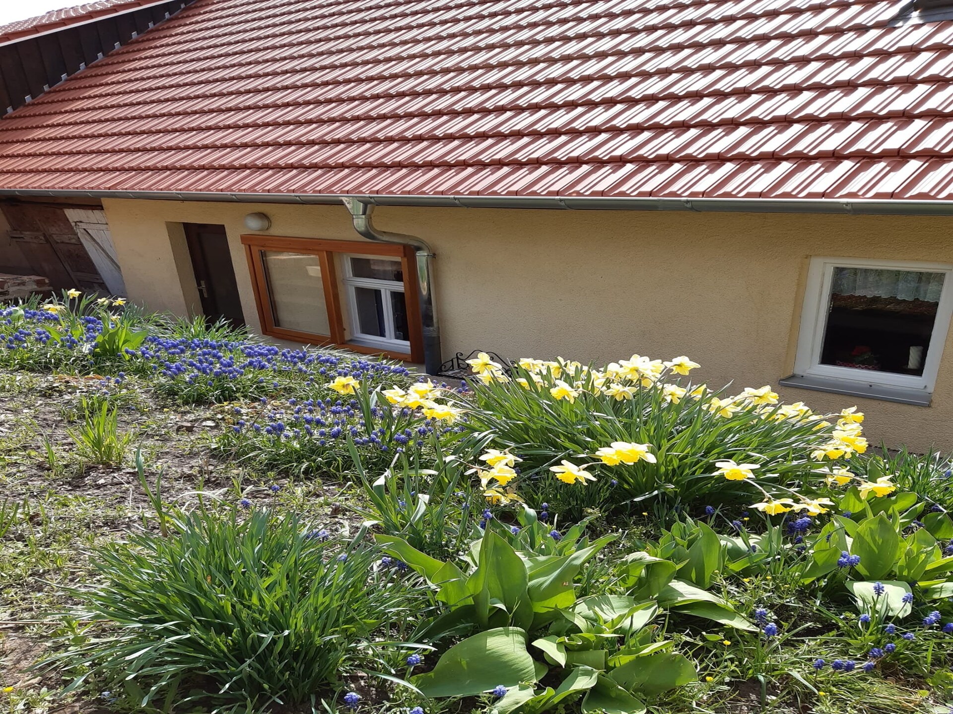 Vrijstaand huis in bosrijke Rhön bij Kaltennordheim, 6 personen - foto 21