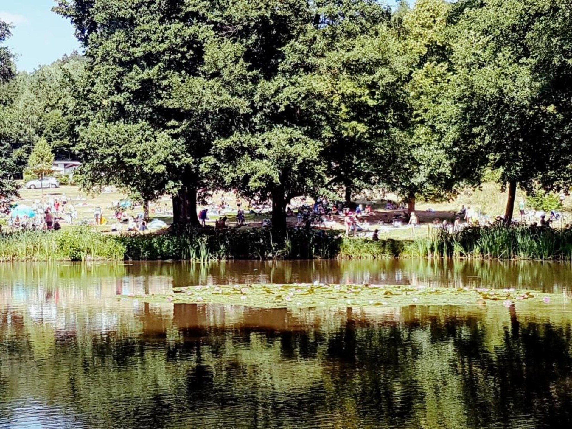 Vrijstaand huis in bosrijke Rhön bij Kaltennordheim, 6 personen - foto 38