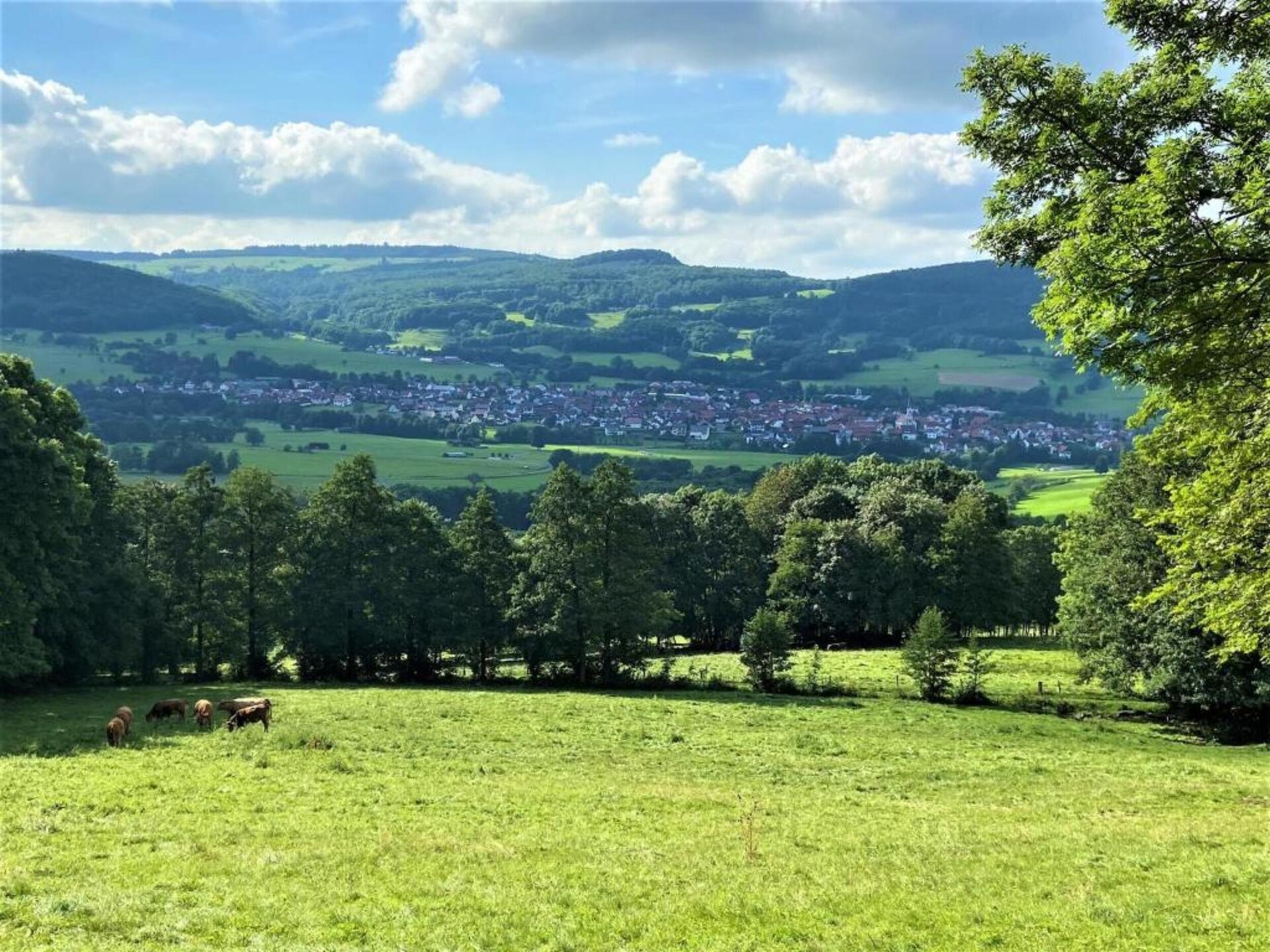 Vrijstaand huis in bosrijke Rhön bij Kaltennordheim, 6 personen - foto 39