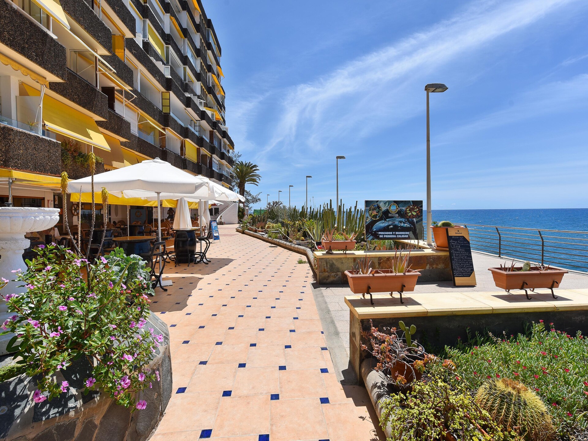 Gerenoveerde studio met zeezicht en zwembad in Maspalomas - foto 21