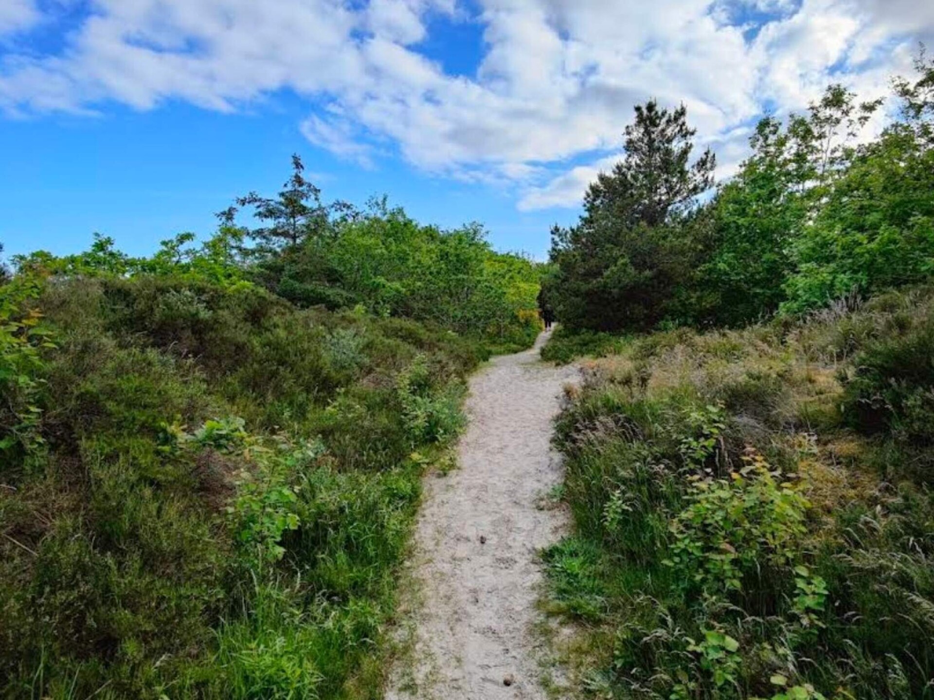 Vrijstaand vakantiehuis aan de golfbaan bij Hals, 900m van het strand - foto 9