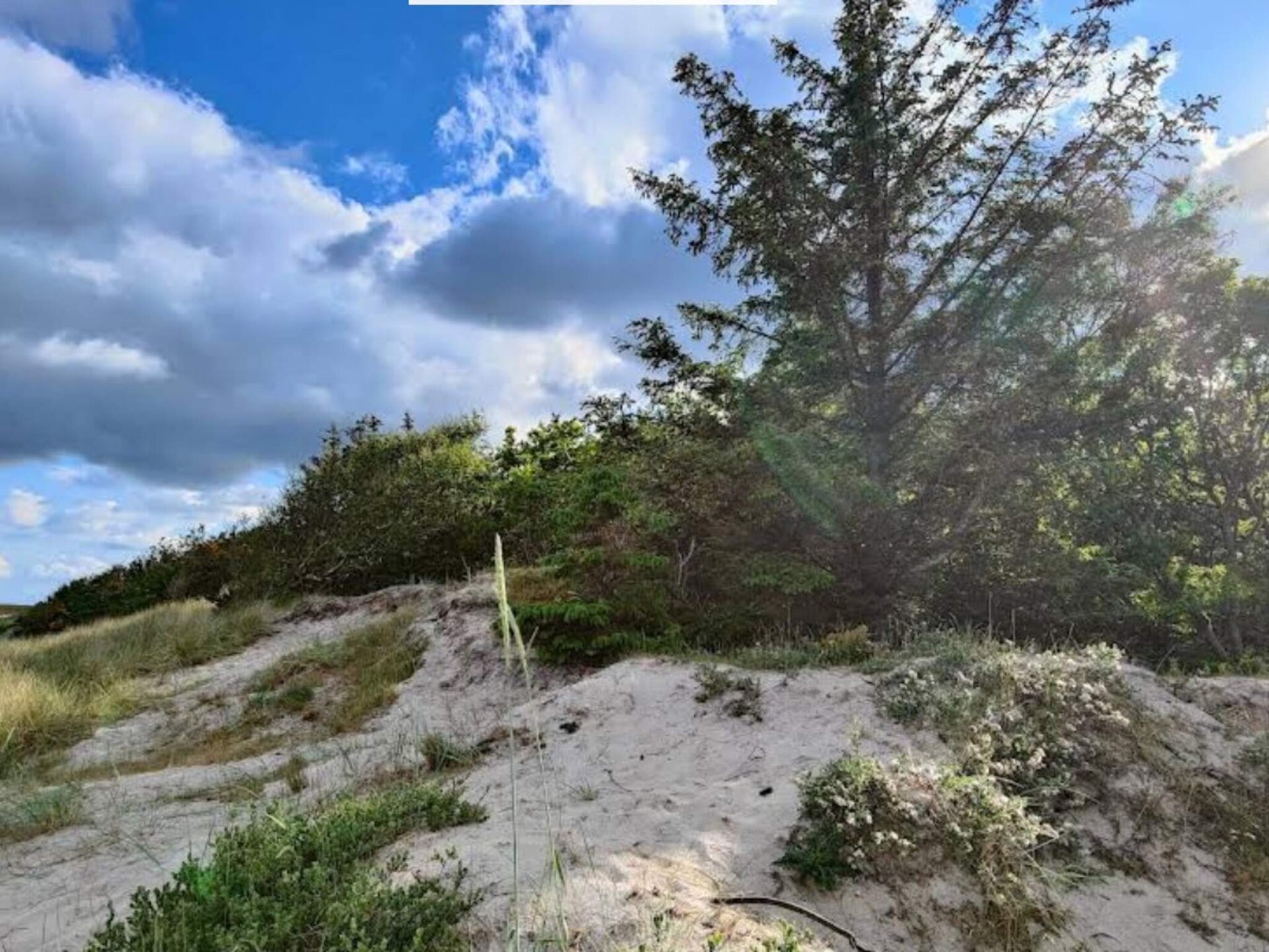 Vrijstaand vakantiehuis aan de golfbaan bij Hals, 900m van het strand - foto 11