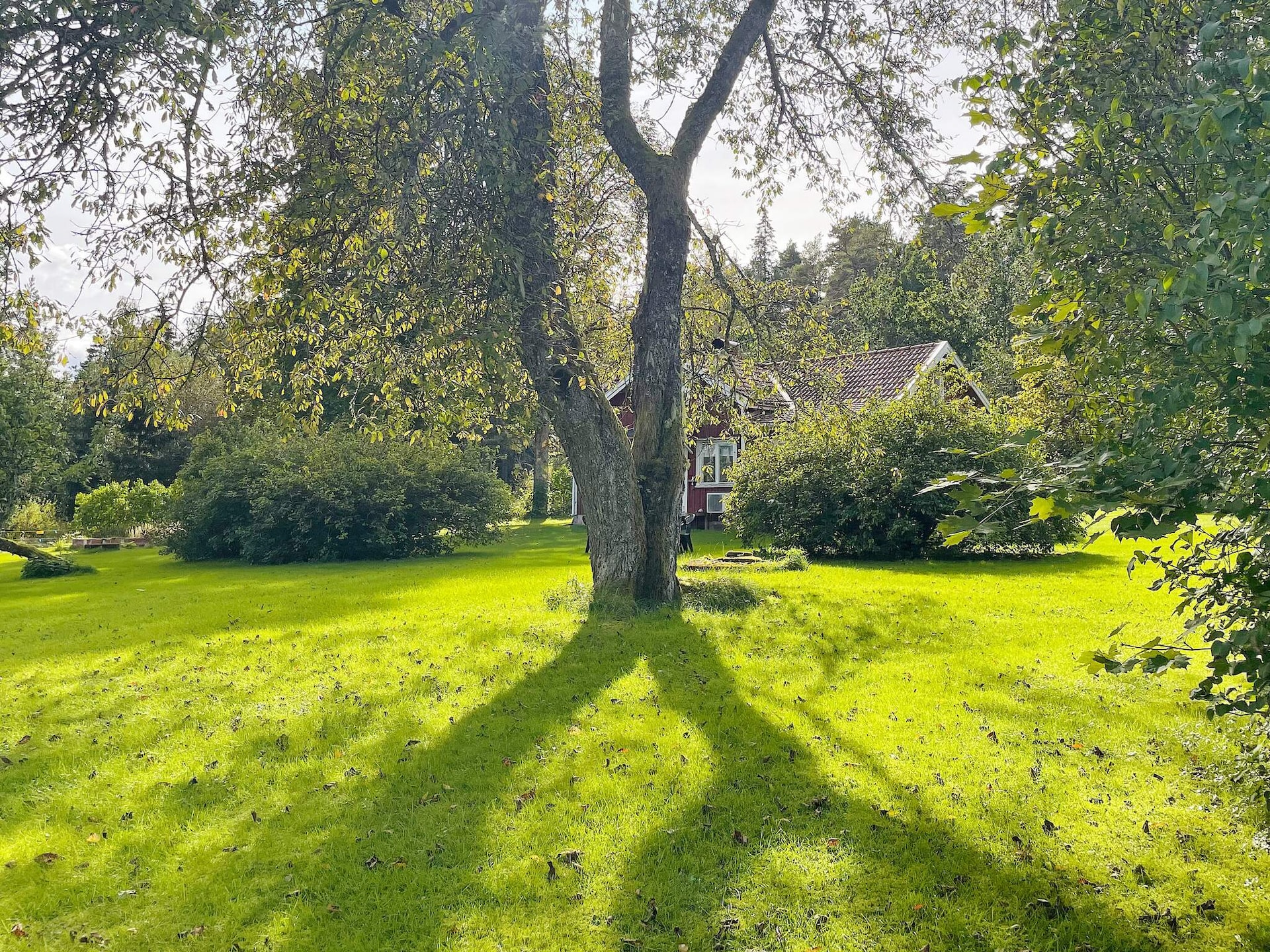 Sfeervol vakantiehuis in Brålanda met sauna en grote tuin - foto 9