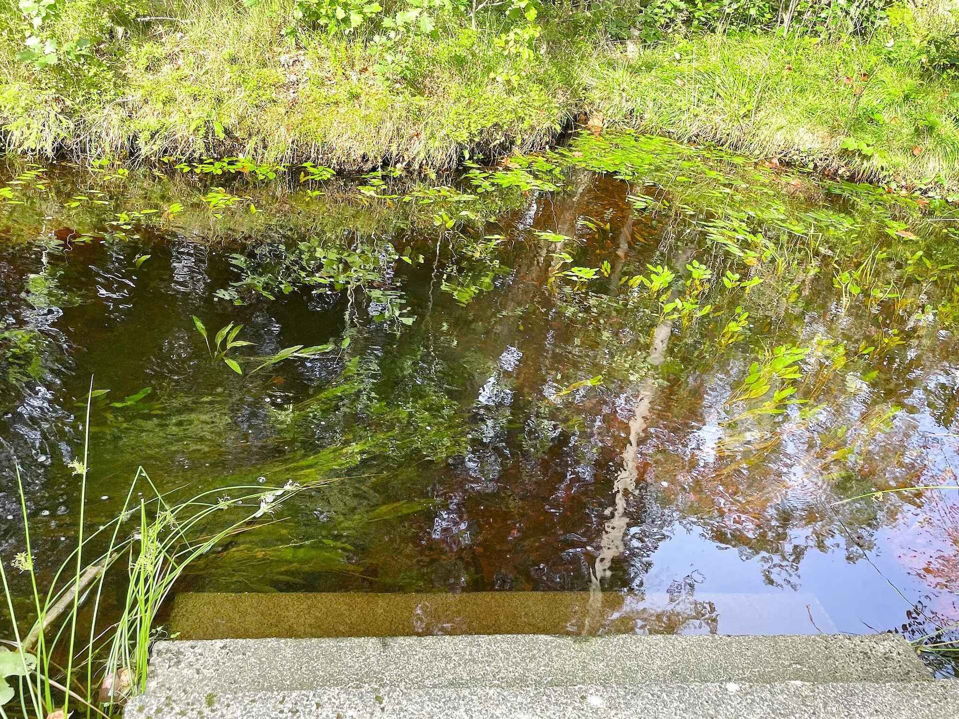 Sfeervol vakantiehuis in Brålanda met sauna en grote tuin - foto 10