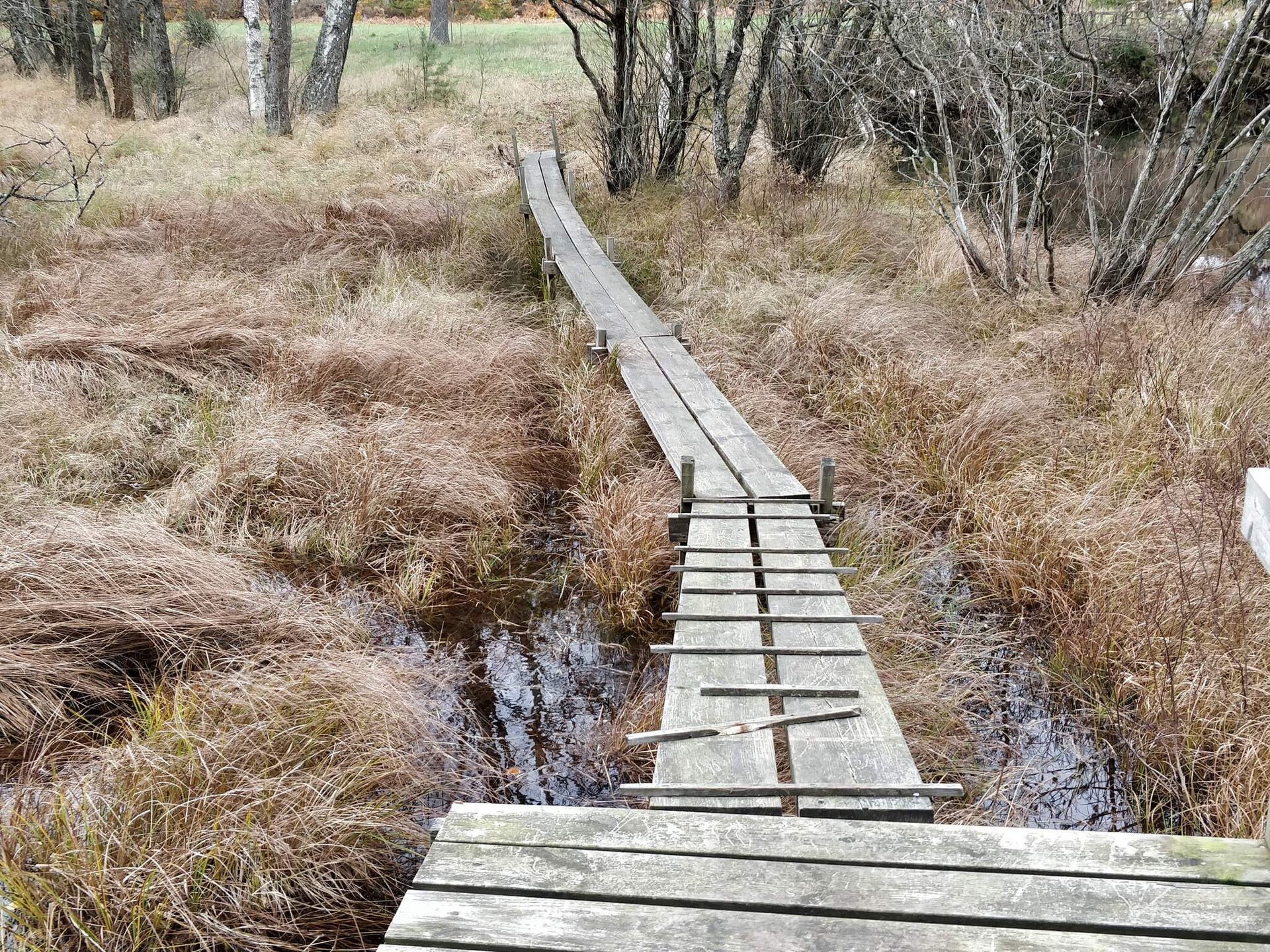 Sfeervol vakantiehuis aan het meer Frisjön met uitzicht en eigen tuin - foto 15
