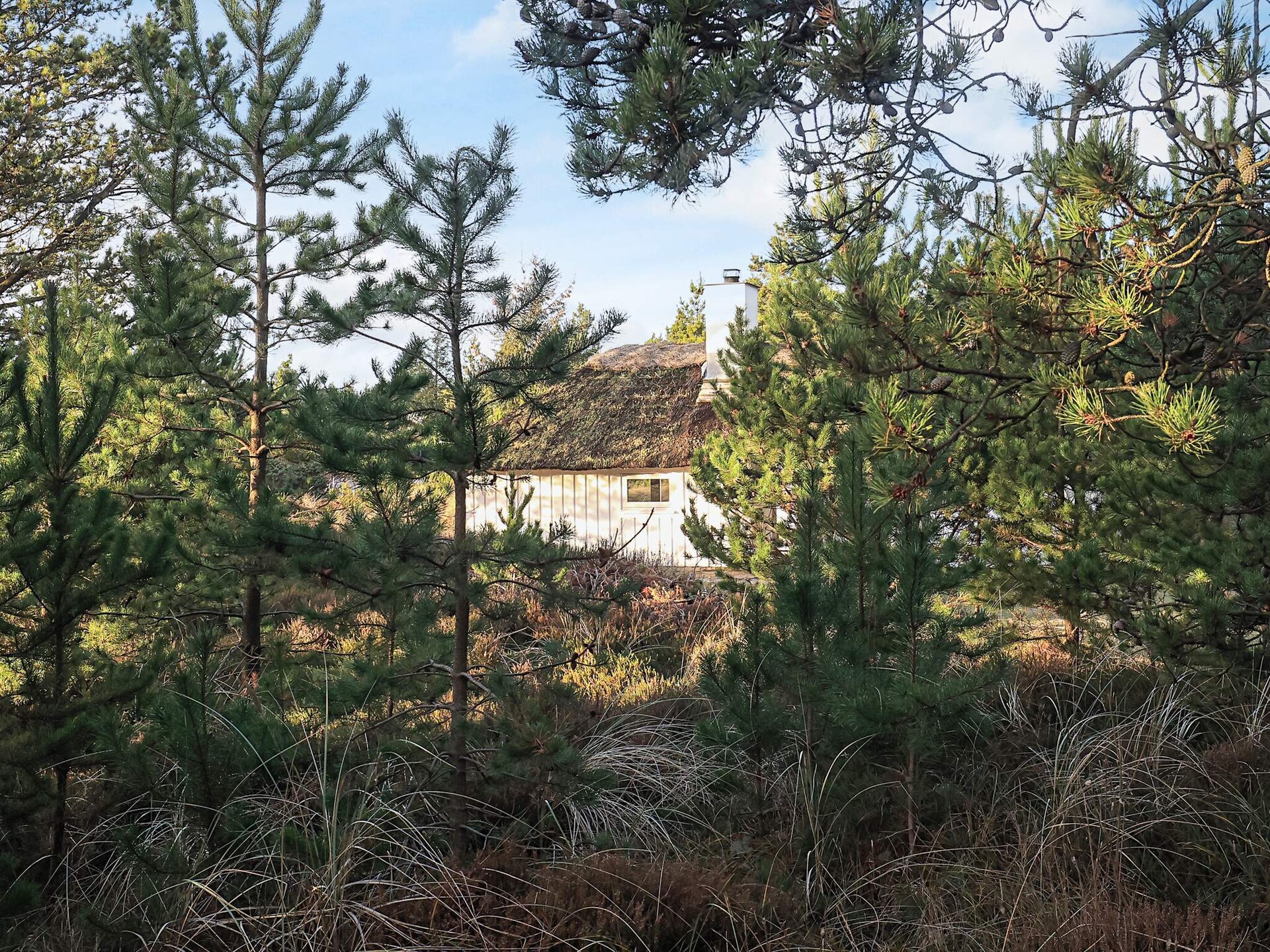 Sfeervol rietgedekt vakantiehuis voor 8 personen in Fjerritslev - foto 38
