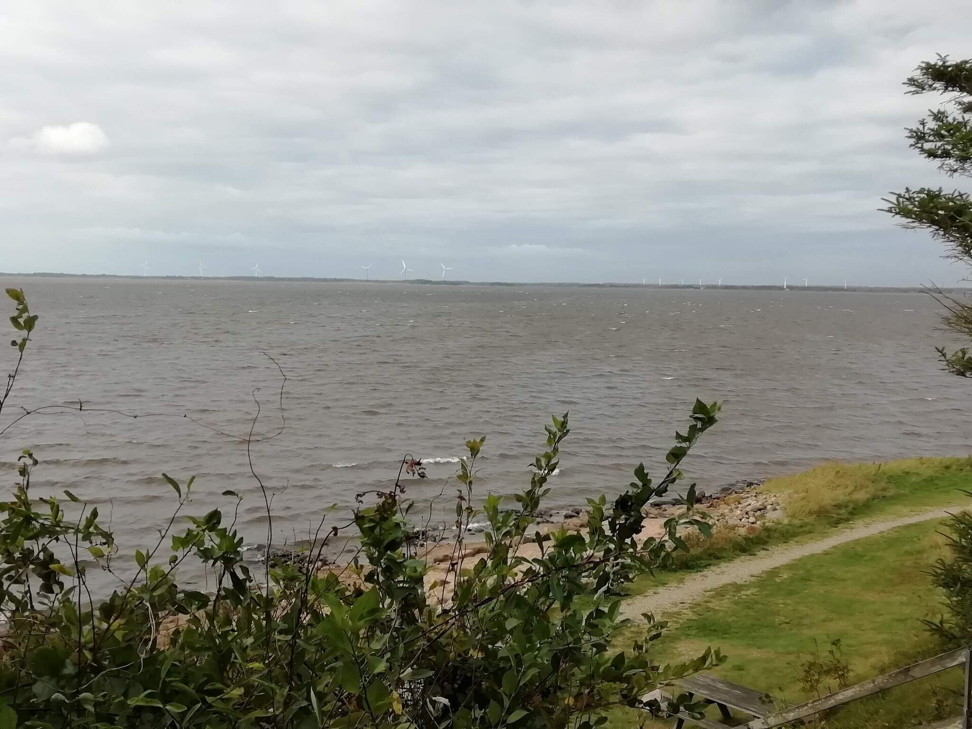 Licht vakantiehuis bij de fjord met omheinde tuin en twee terrassen - foto 13