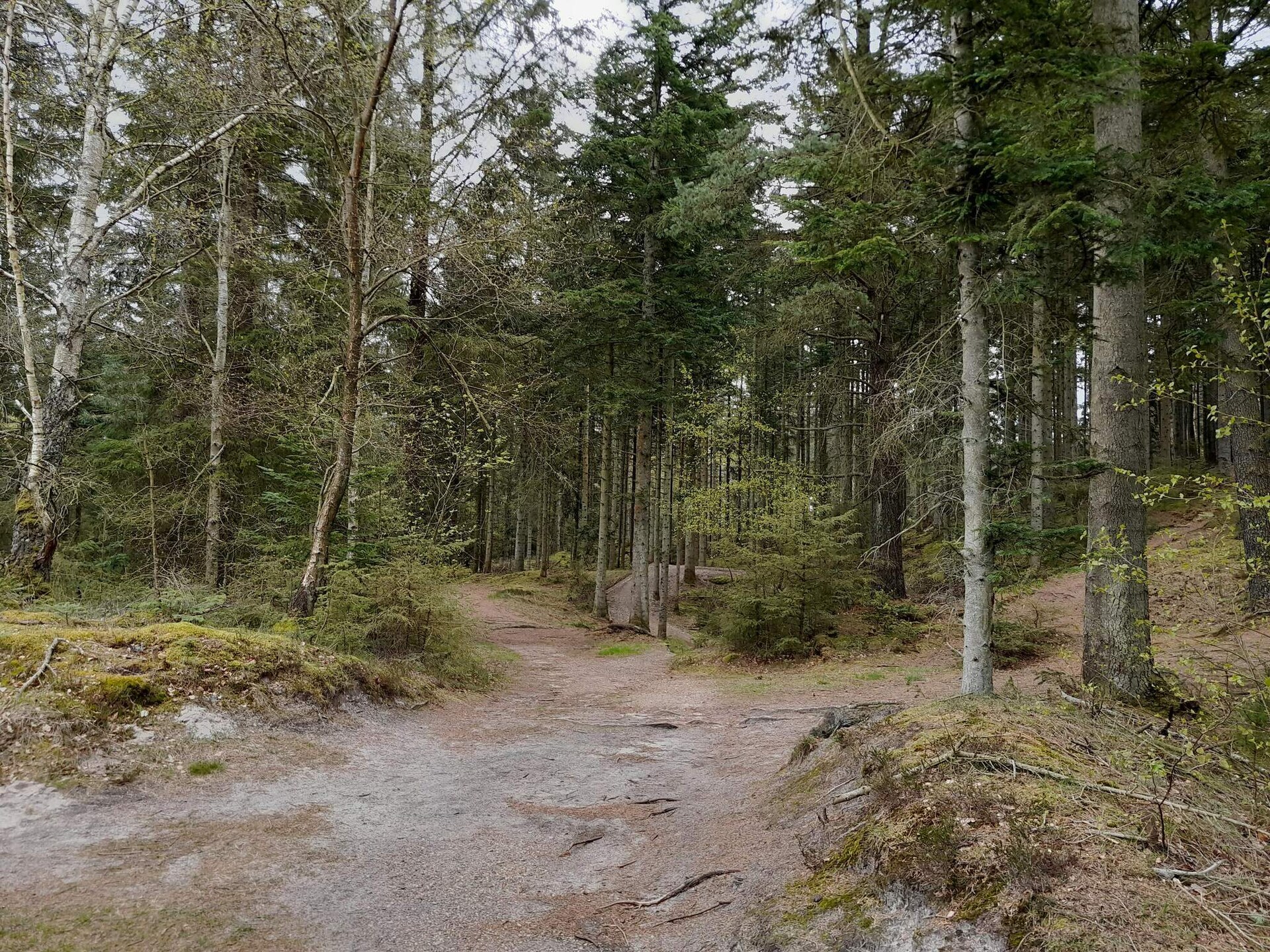 Op 950 m van zee: Rustig vakantiehuis voor 6 personen in Henne - foto 14