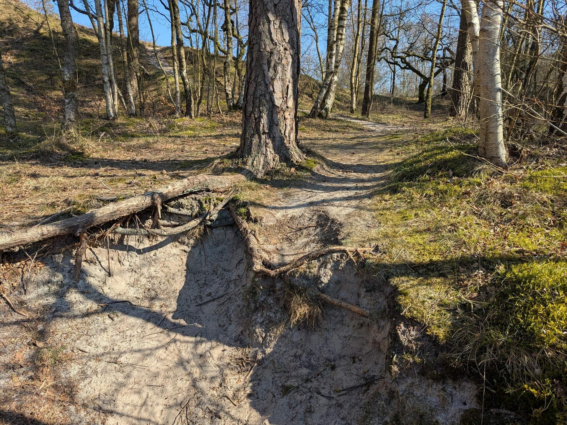 Op 950 m van zee: Rustig vakantiehuis voor 6 personen in Henne - foto 20