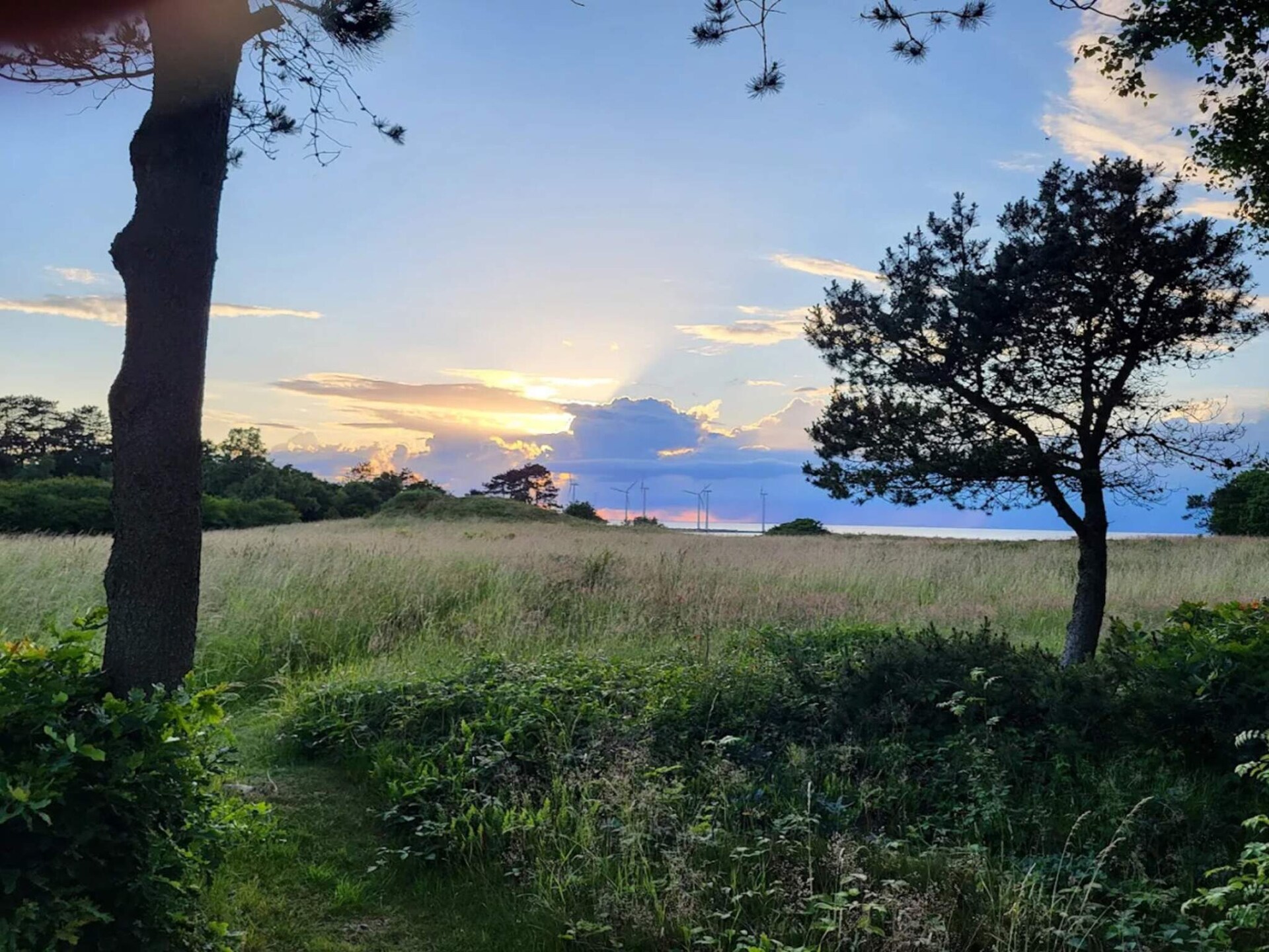 Ruim vakantiehuis bij Marielyst met whirlpool, sauna en tuin op 1 km van zee - foto 11