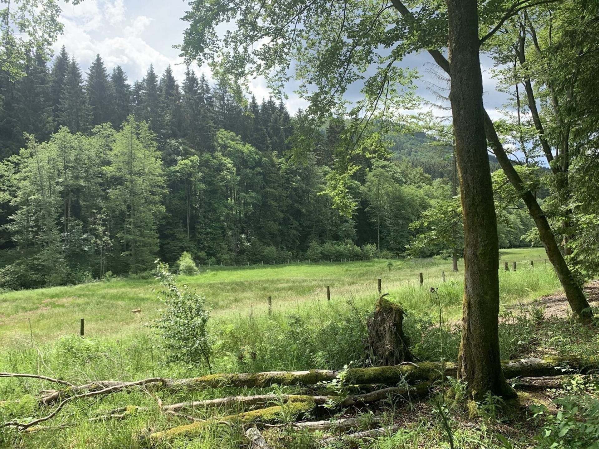 Op 500 m van de piste: Comfortabel appartement in Medebach - foto 16