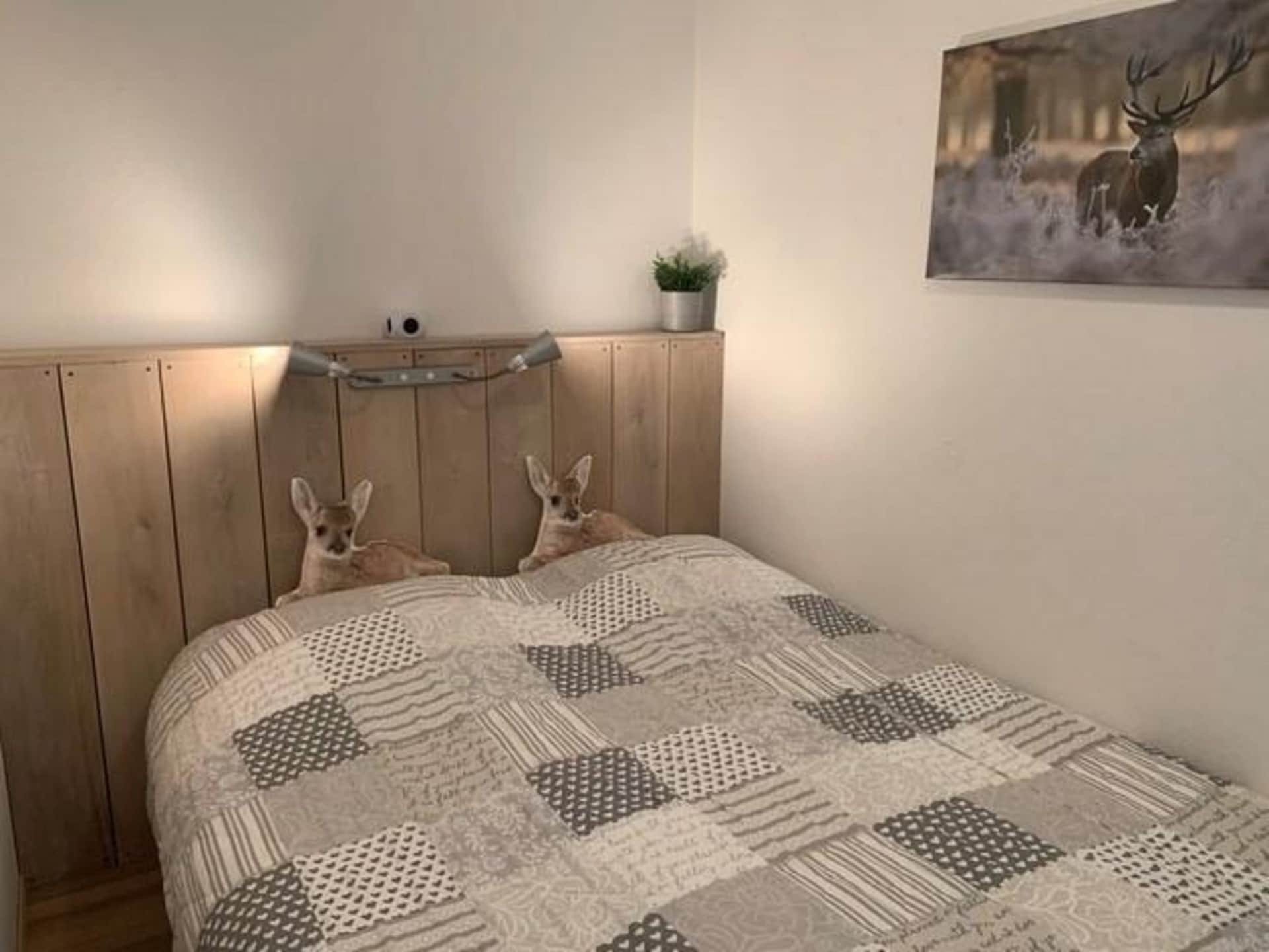 Op 500 m van de piste: Comfortabel appartement in Medebach - foto 10
