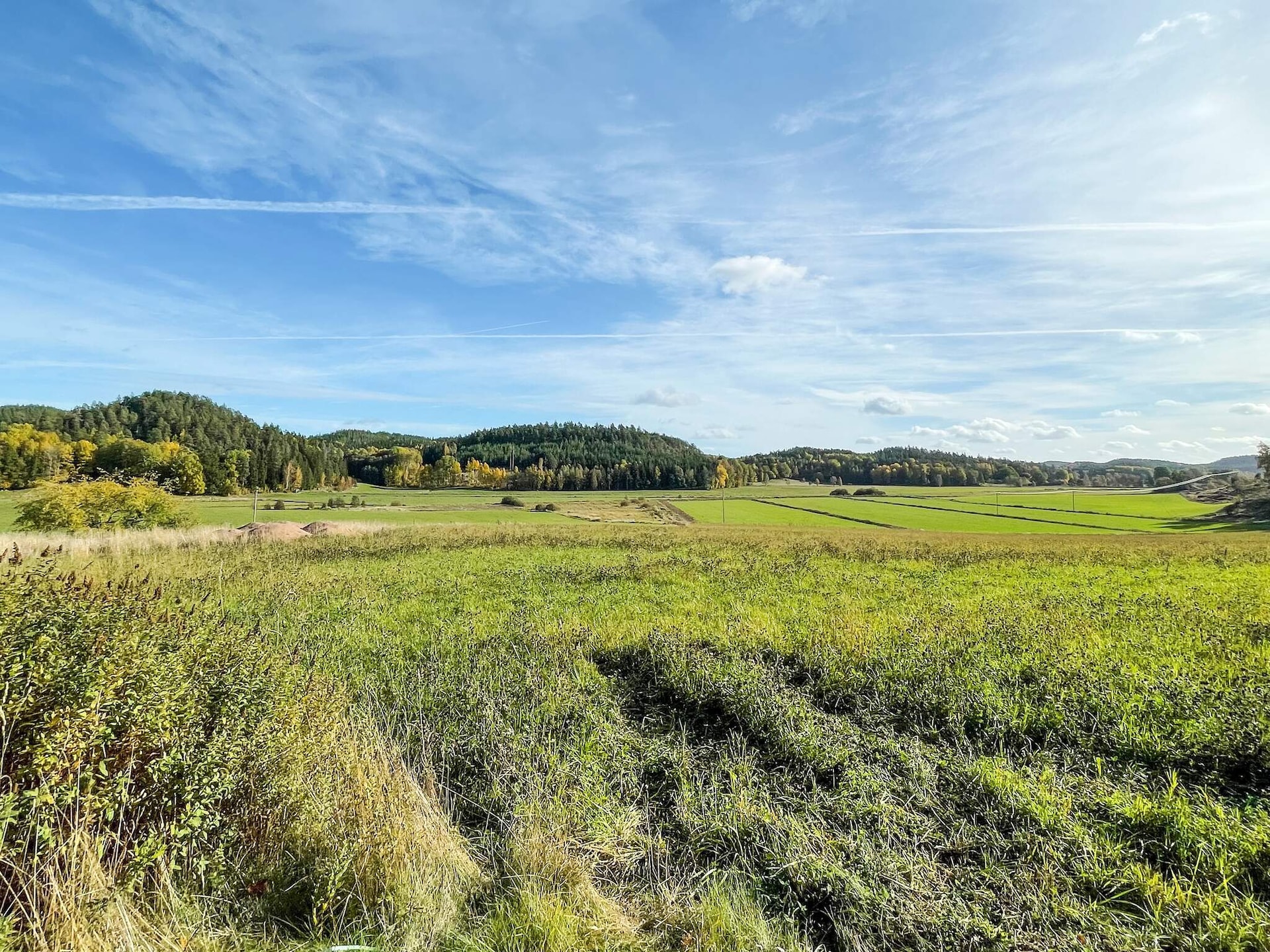 Vrijstaand vakantiehuis in Zweden met golfbaan, meer op 2,6 km en laadpaal - foto 8