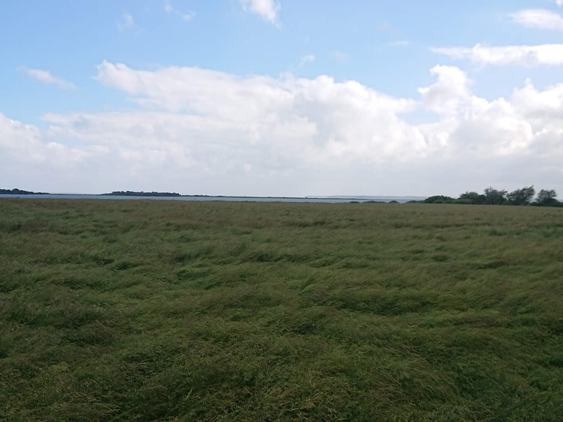 Sfeervol rietgedekt vakantiehuis bij Sakskøbing met uitzicht op zee - foto 2
