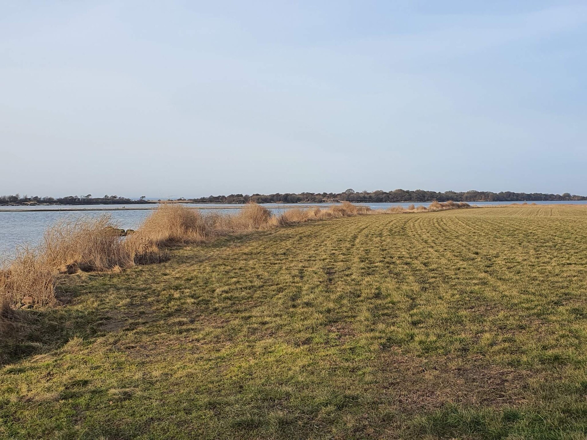 Sfeervol rietgedekt vakantiehuis bij Sakskøbing met uitzicht op zee - foto 3