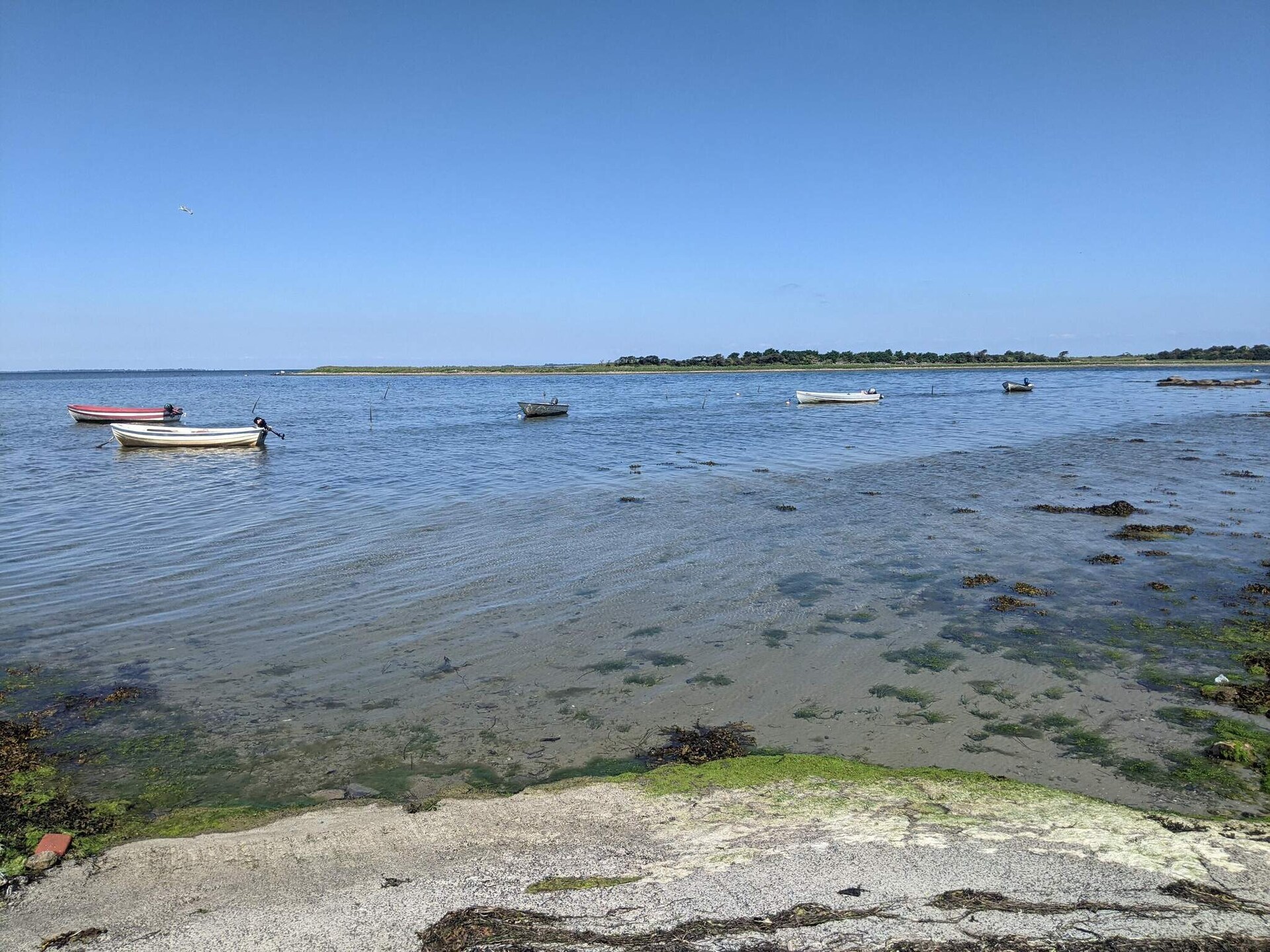 Sfeervol rietgedekt vakantiehuis bij Sakskøbing met uitzicht op zee - foto 6